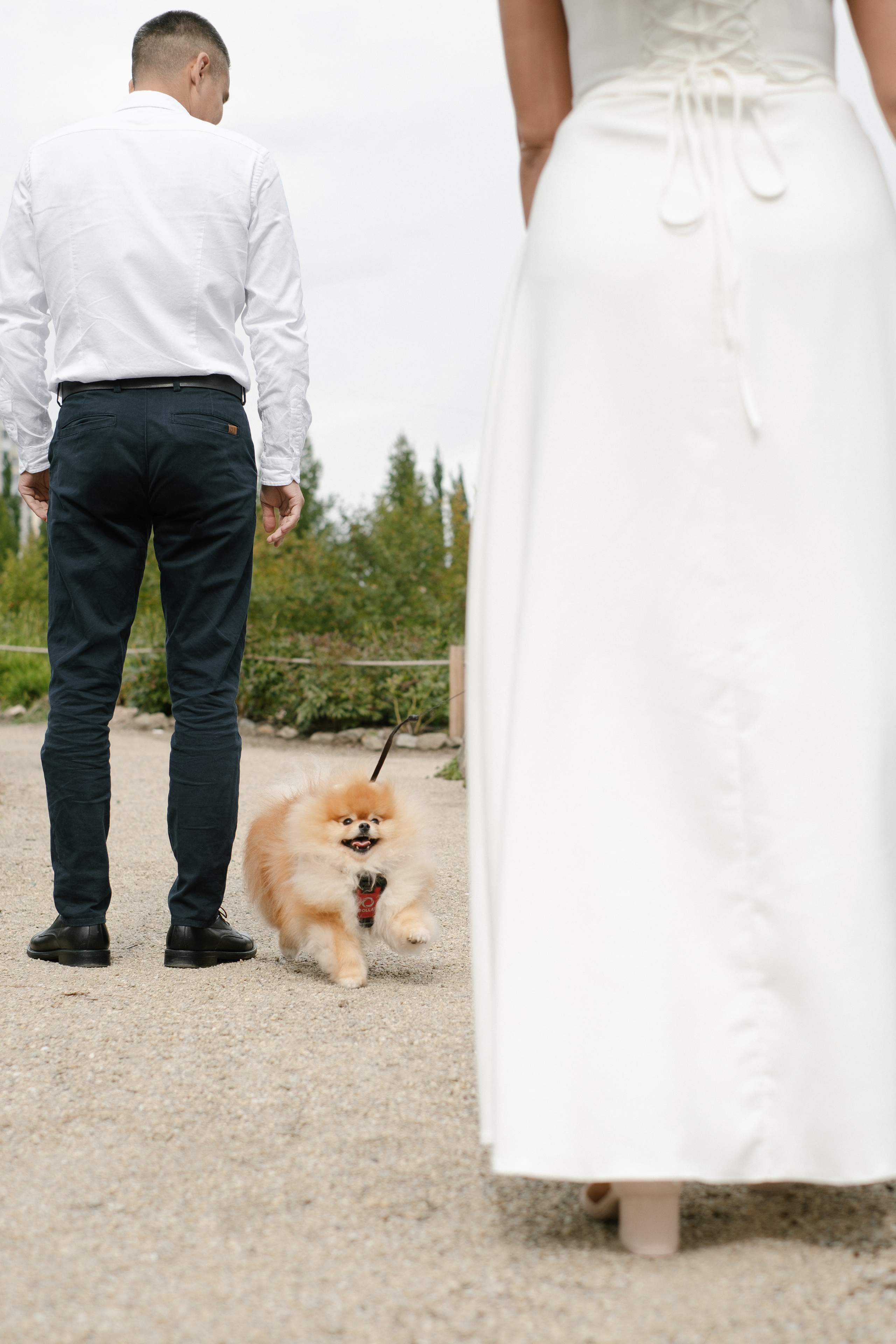 Дарья и Кайрат. Фотограф в Санкт-Петербурге Мария Комолитдинова