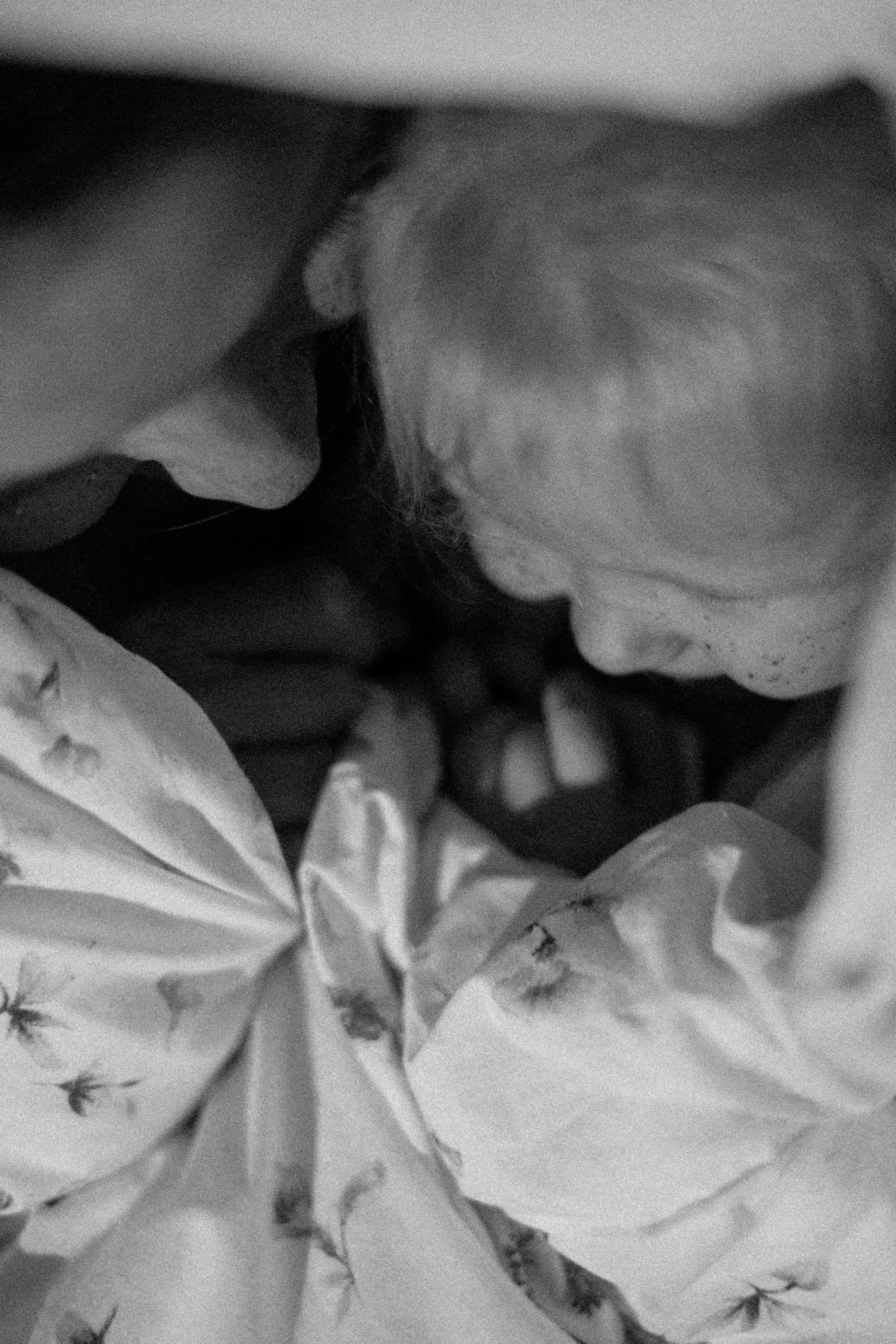 Домашний день. Фотограф в Санкт-Петербурге Мария Комолитдинова