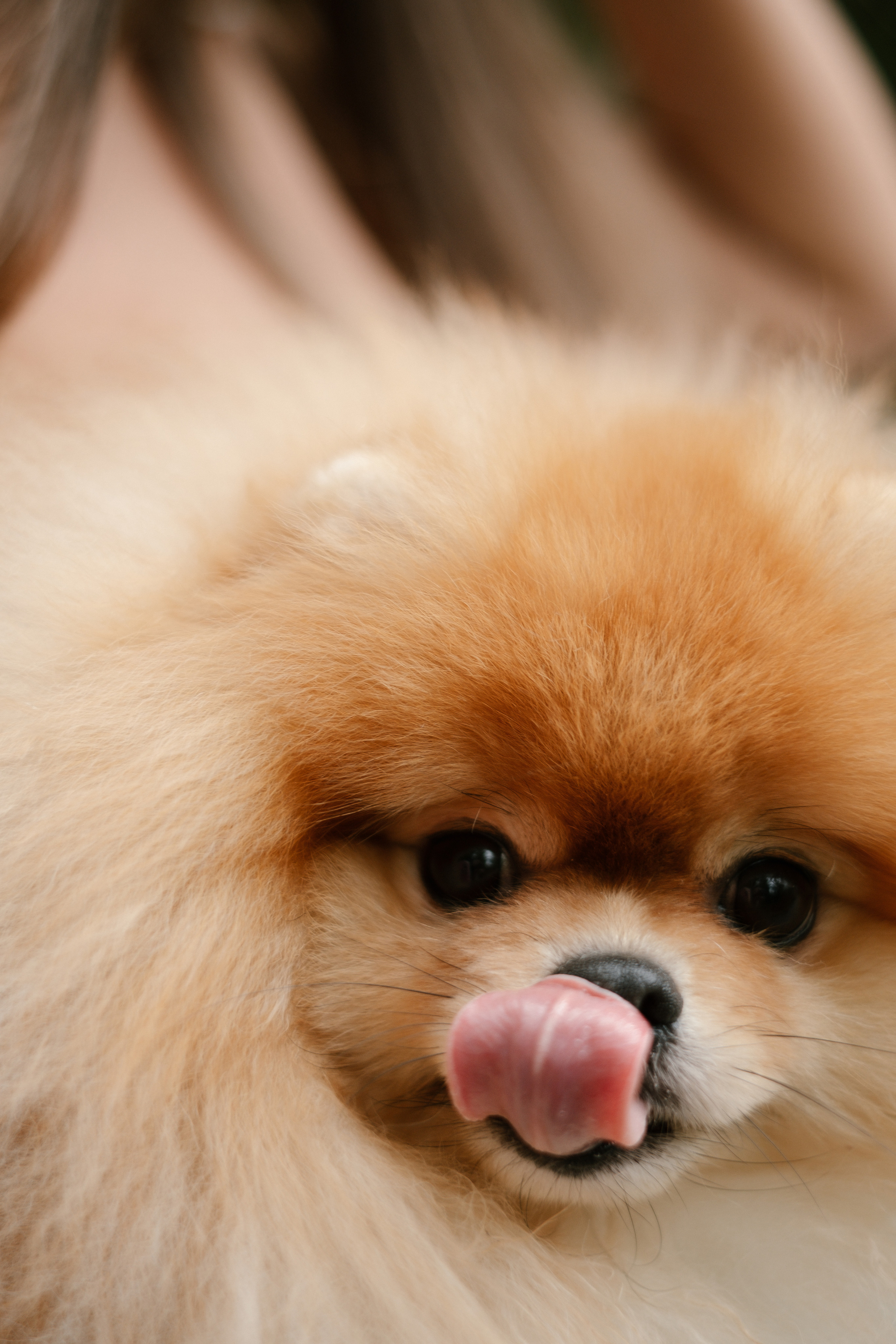 Дарья и Кайрат. Фотограф в Санкт-Петербурге Мария Комолитдинова