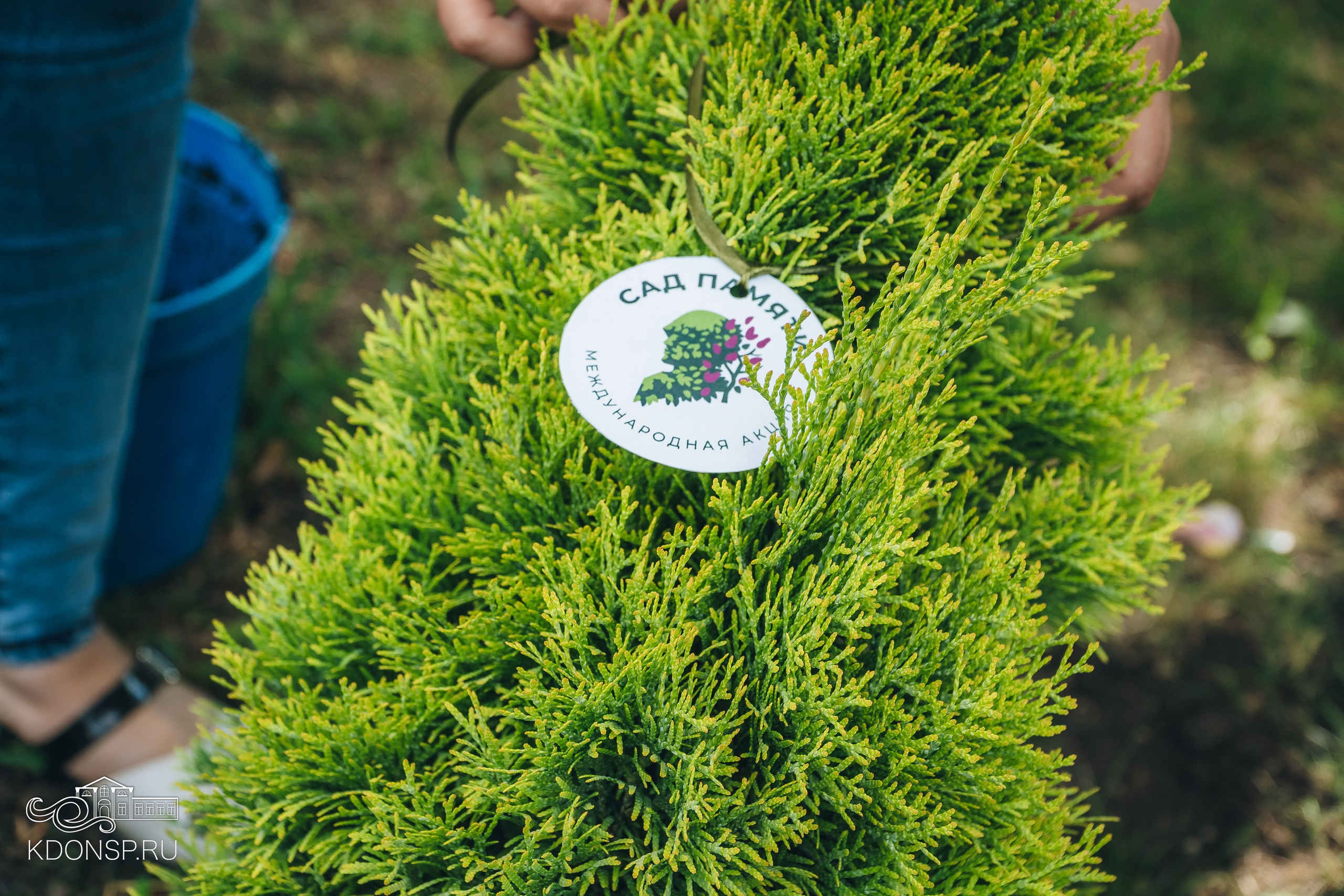 «Сад Памяти». Новотитаровский Дом культуры