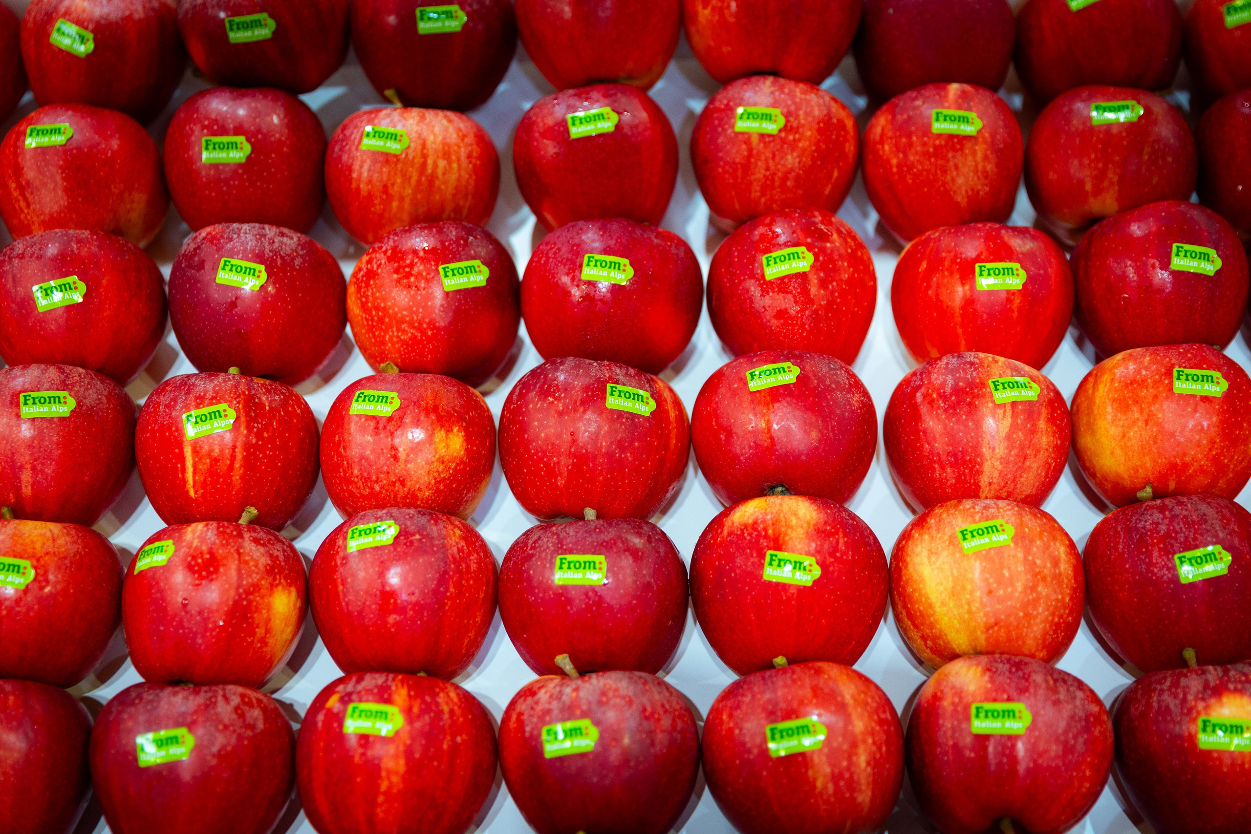 Asia Fruit Logistica [Гонконг 4–6 сентября 2024 г.]. Фотограф Виноградов Константин