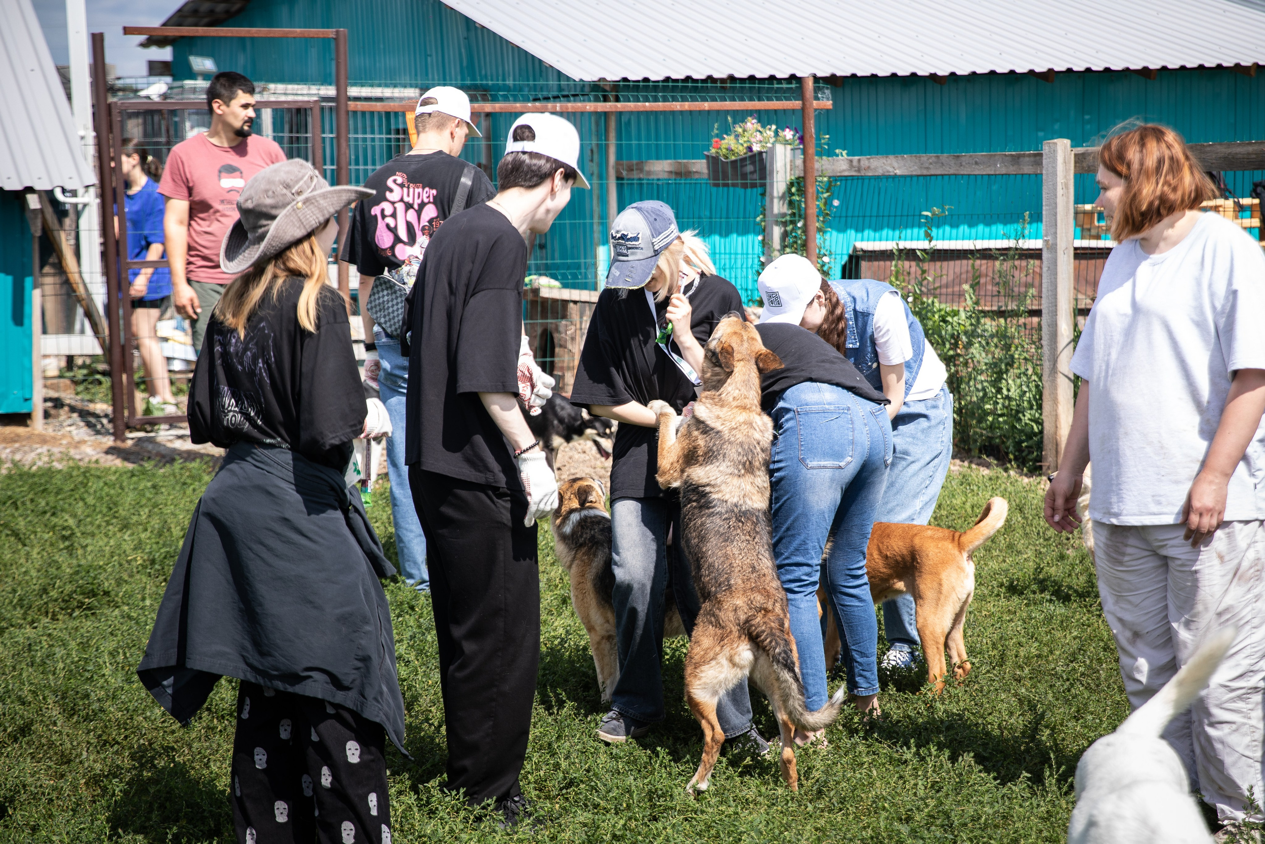 Приют — Наш дом. Репортажный и свадебный фотограф в Челябинске Елисеев Павел