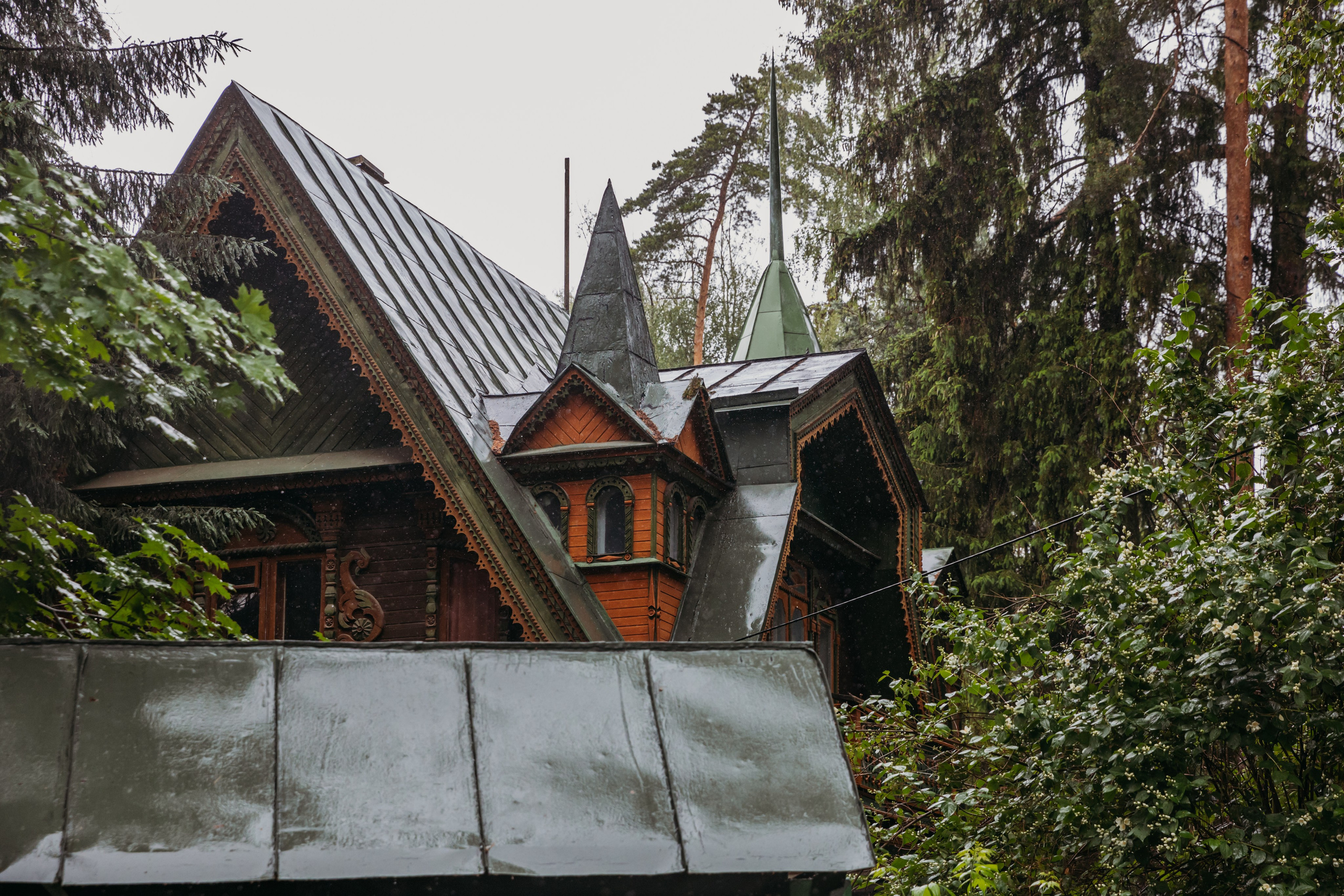 Родные люди «На дачу к Дмитрию Абрикосову». Леся Гаранина. Семейный фотограф/видеограф Москва и область