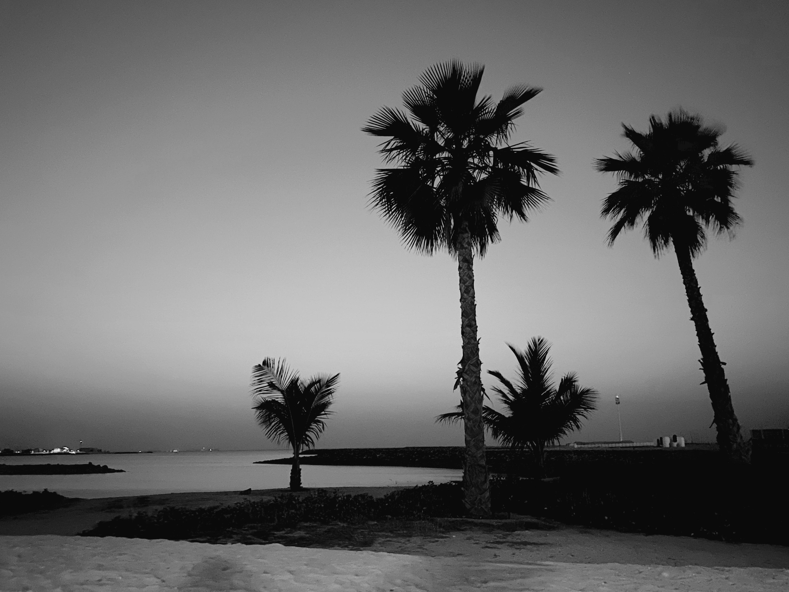 Dubai. Photographer Yana Kotova