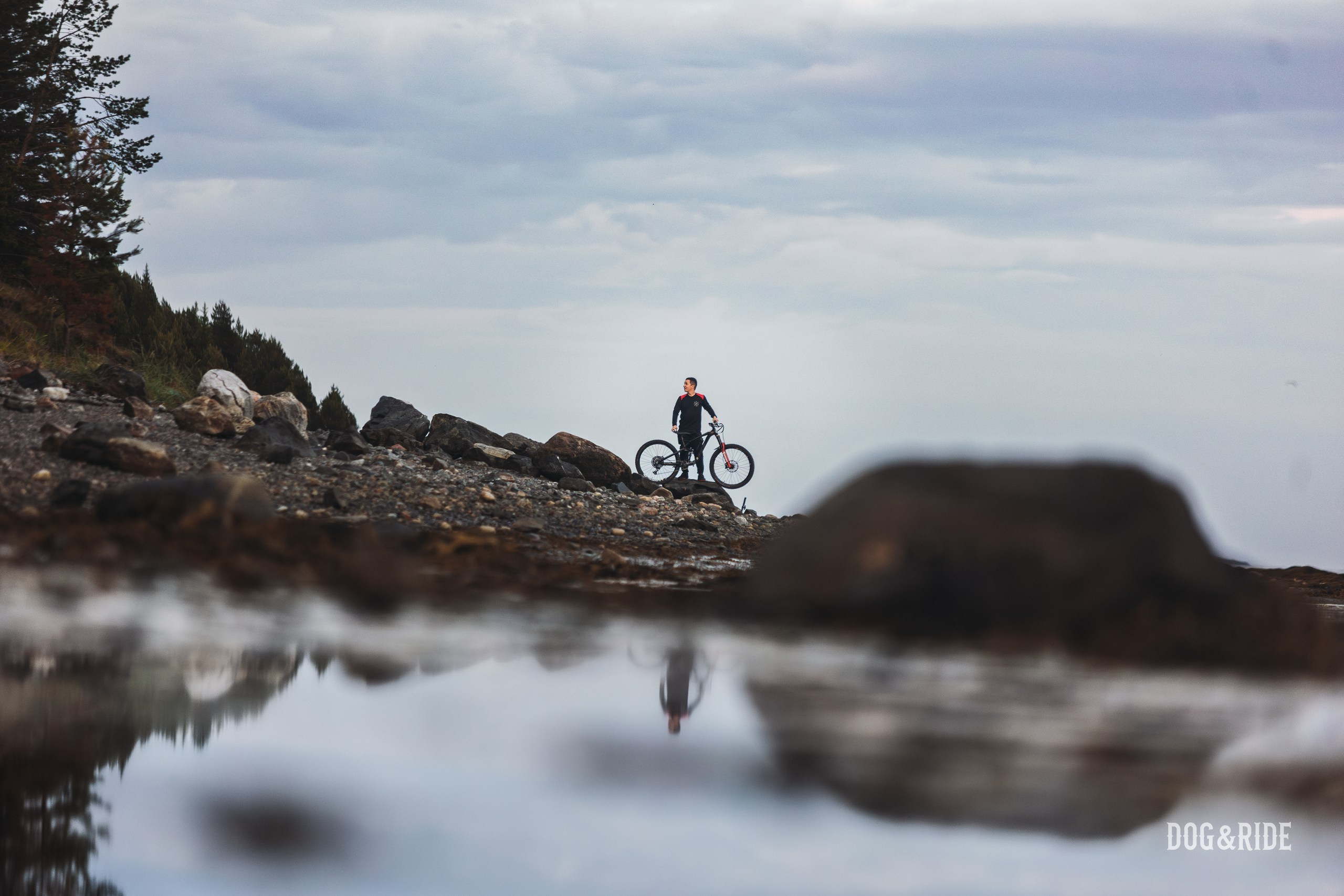Кандалакшка. Фотограф анималист Никита Натальный
