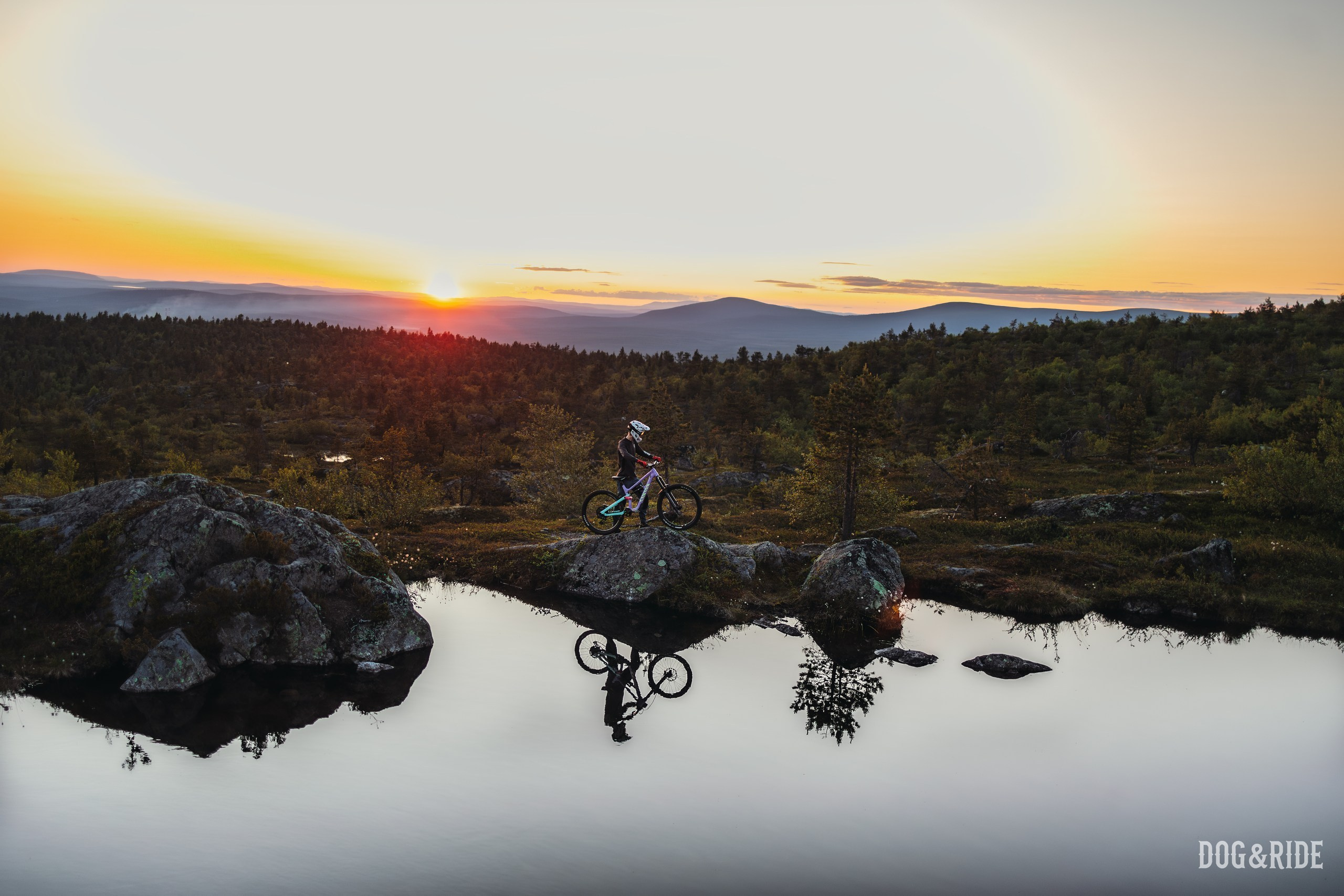 Кандалакшка. Фотограф анималист Никита Натальный