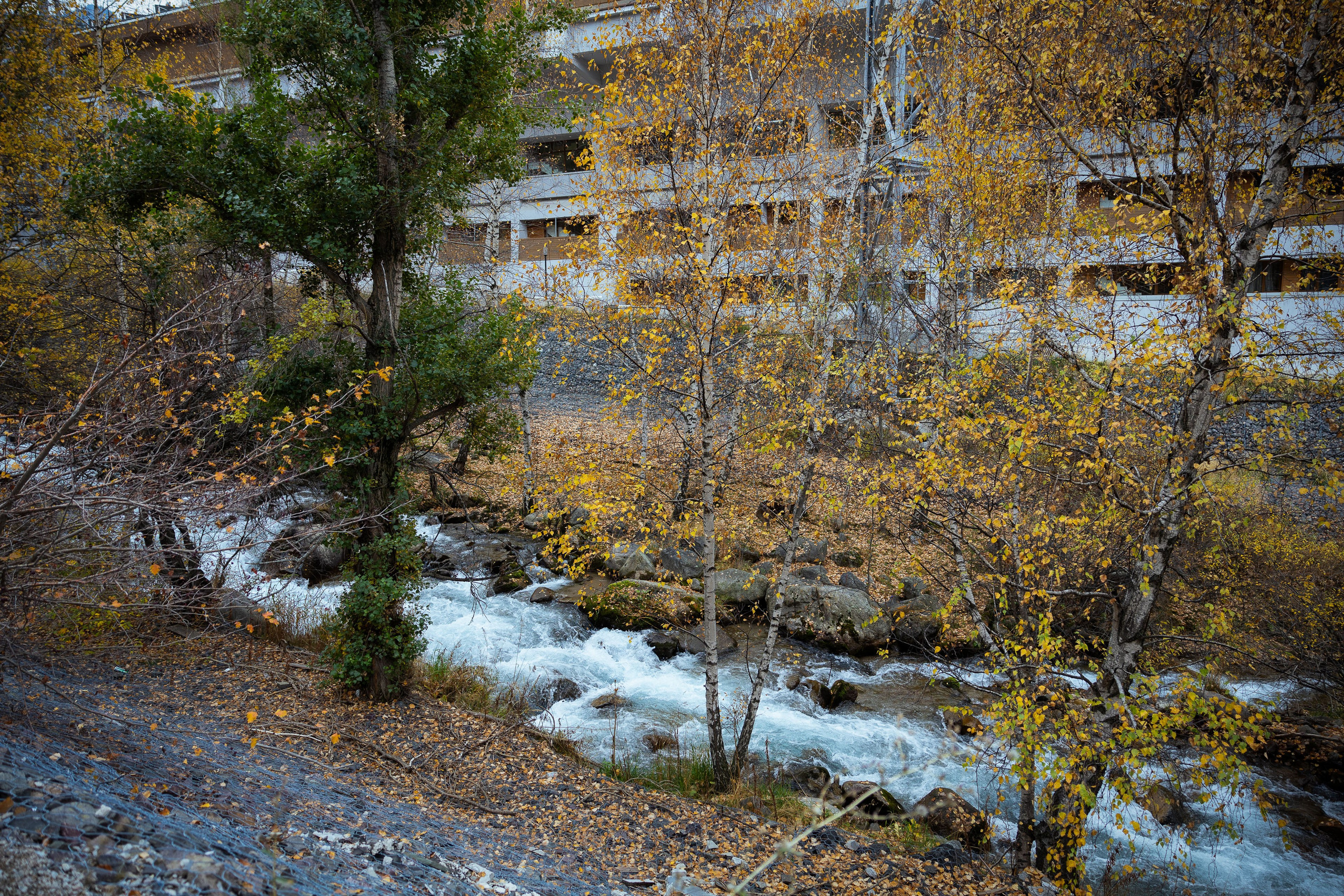 Казахстан (осень 2024). Фотограф Виноградов Константин