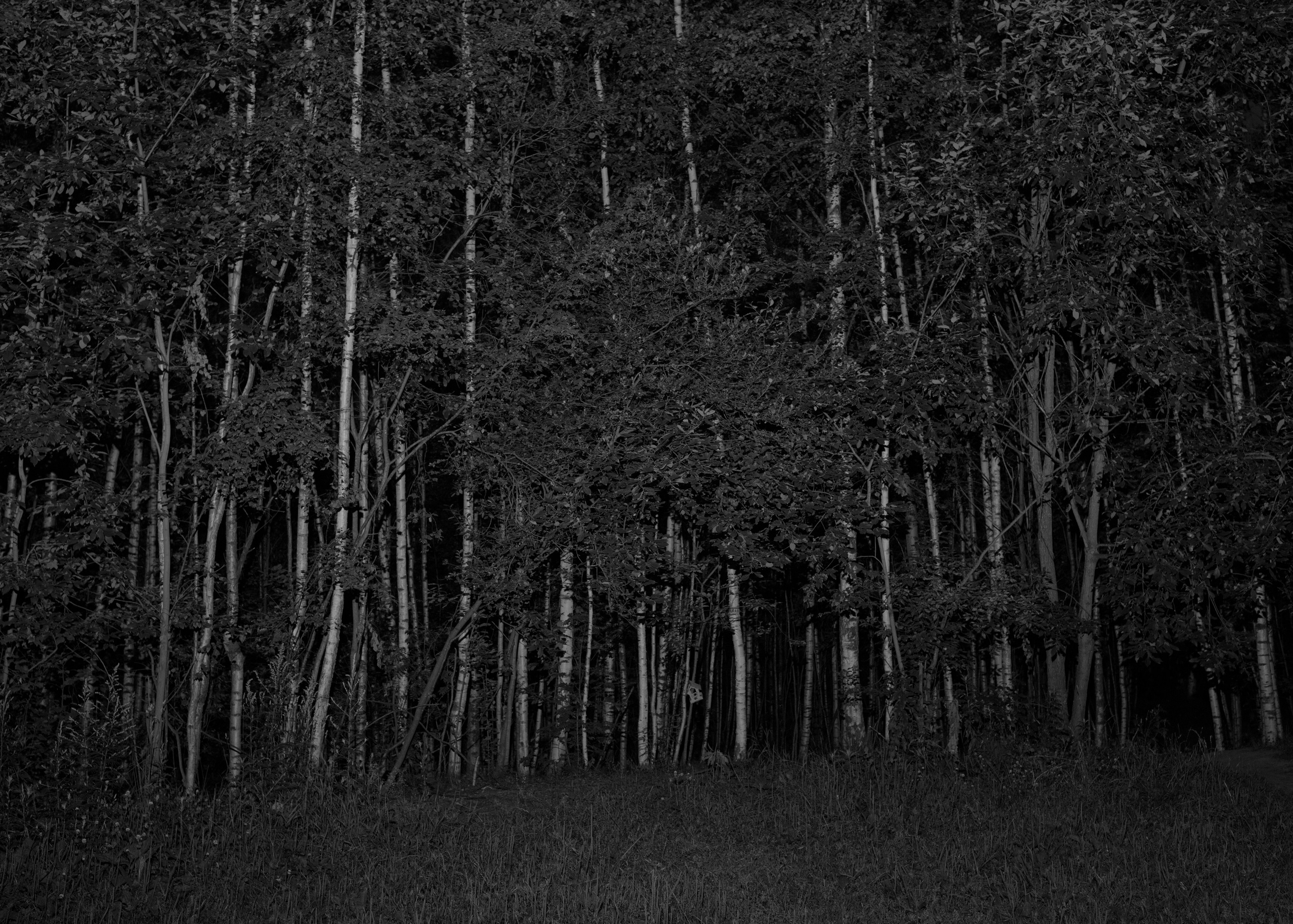 I’m Tired of Being Myself. Photographer Slava Kostylev