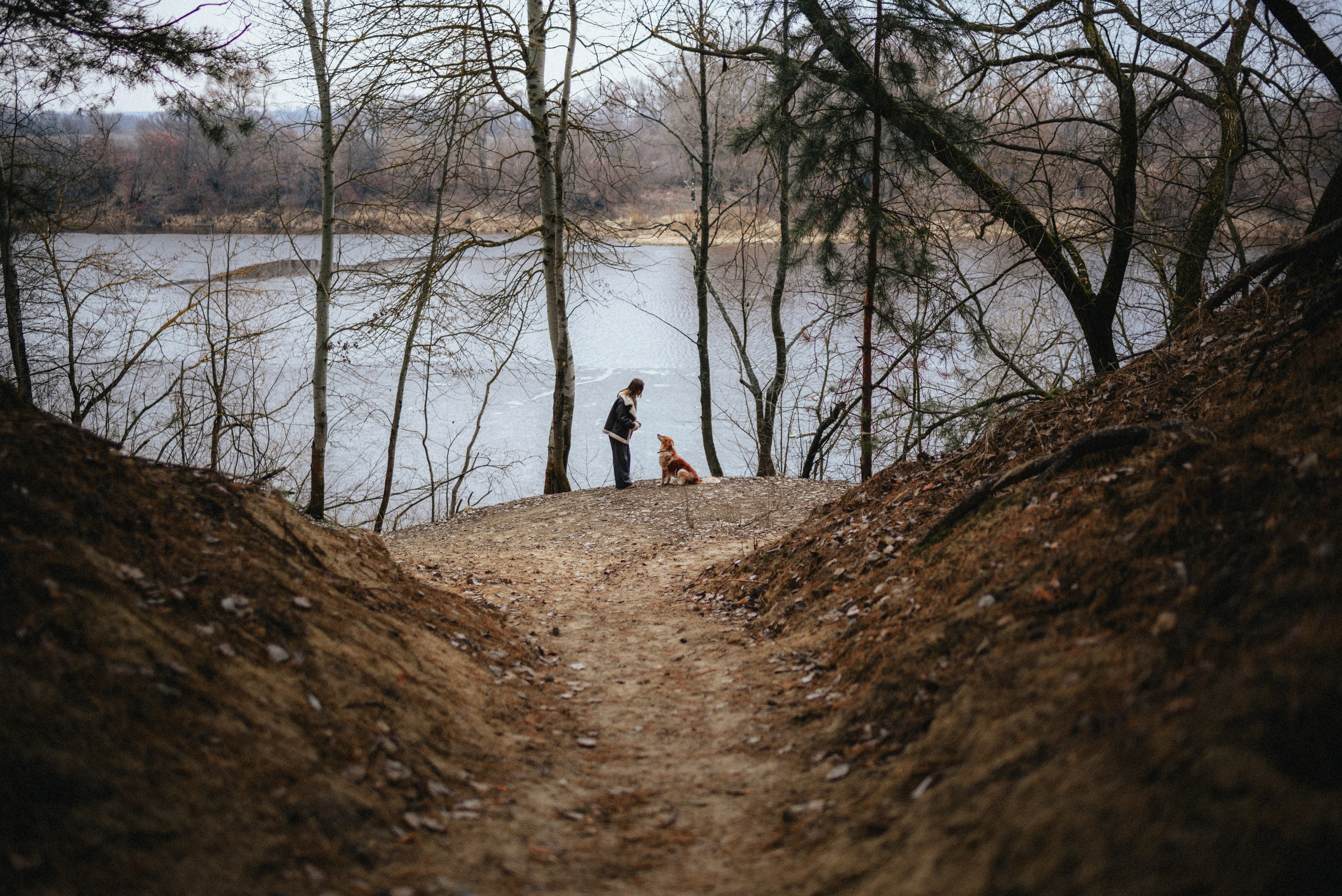 Илона и Челси. MariaGohri — Конный фотограф, анималист, Рязань