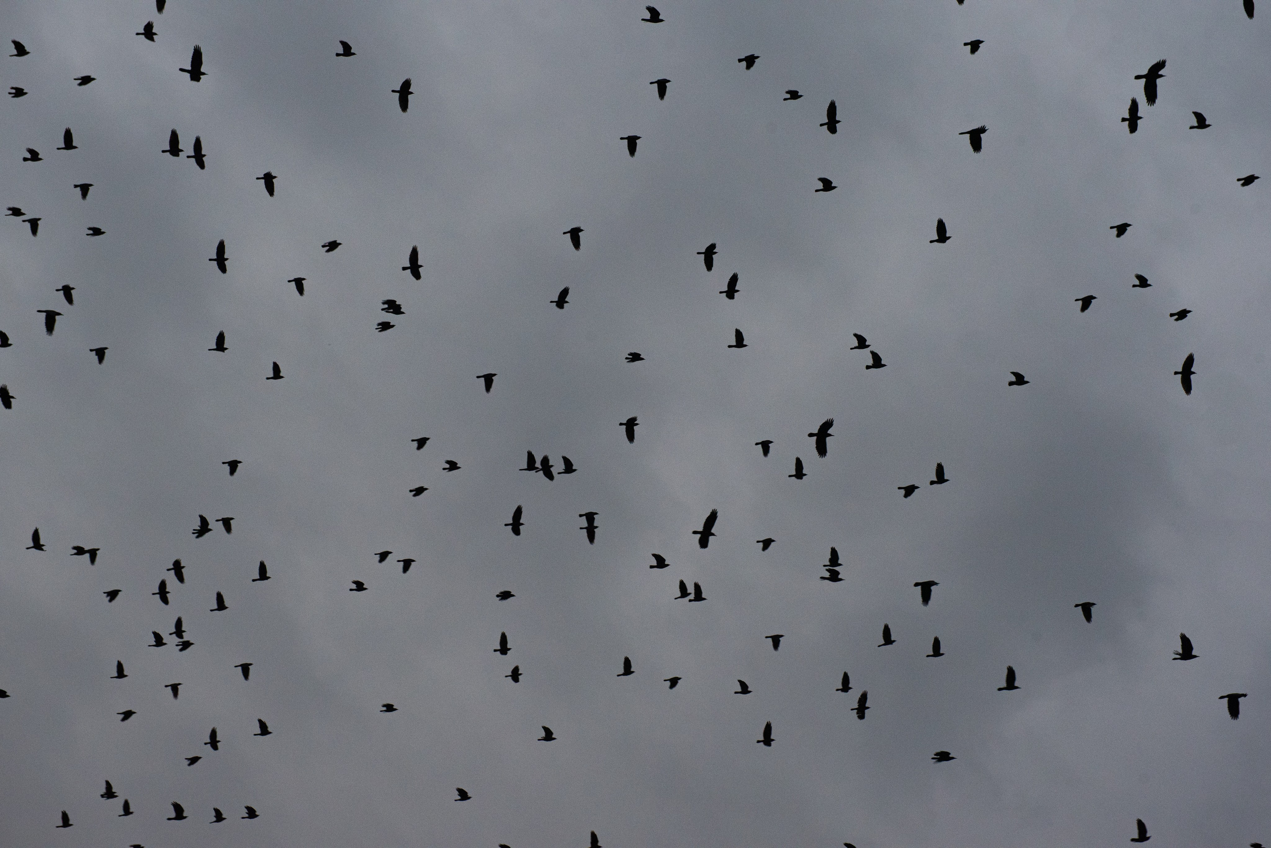 Мурмурация. Портретный и архитектурный фотограф в Москве и Санкт-Петербурге