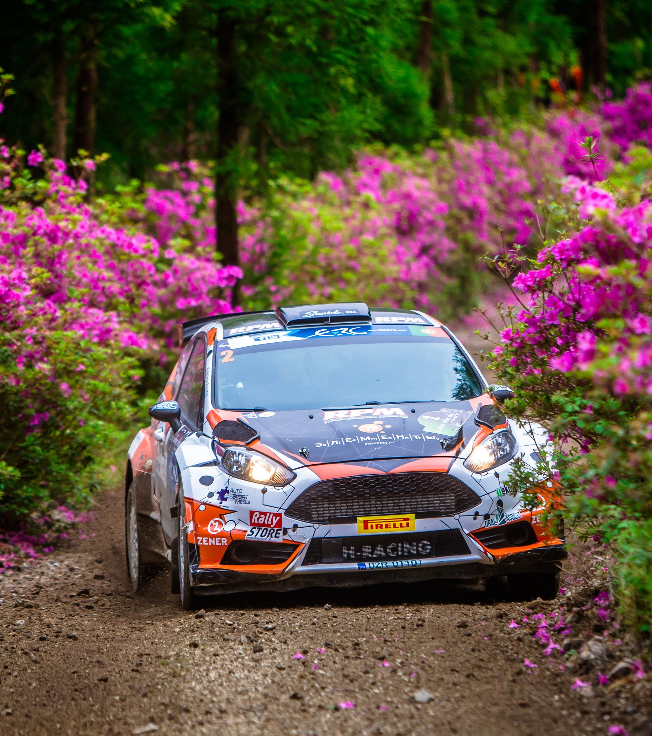 Репортаж. СПОРТ. Спорт и свет | Лина Арнаутова