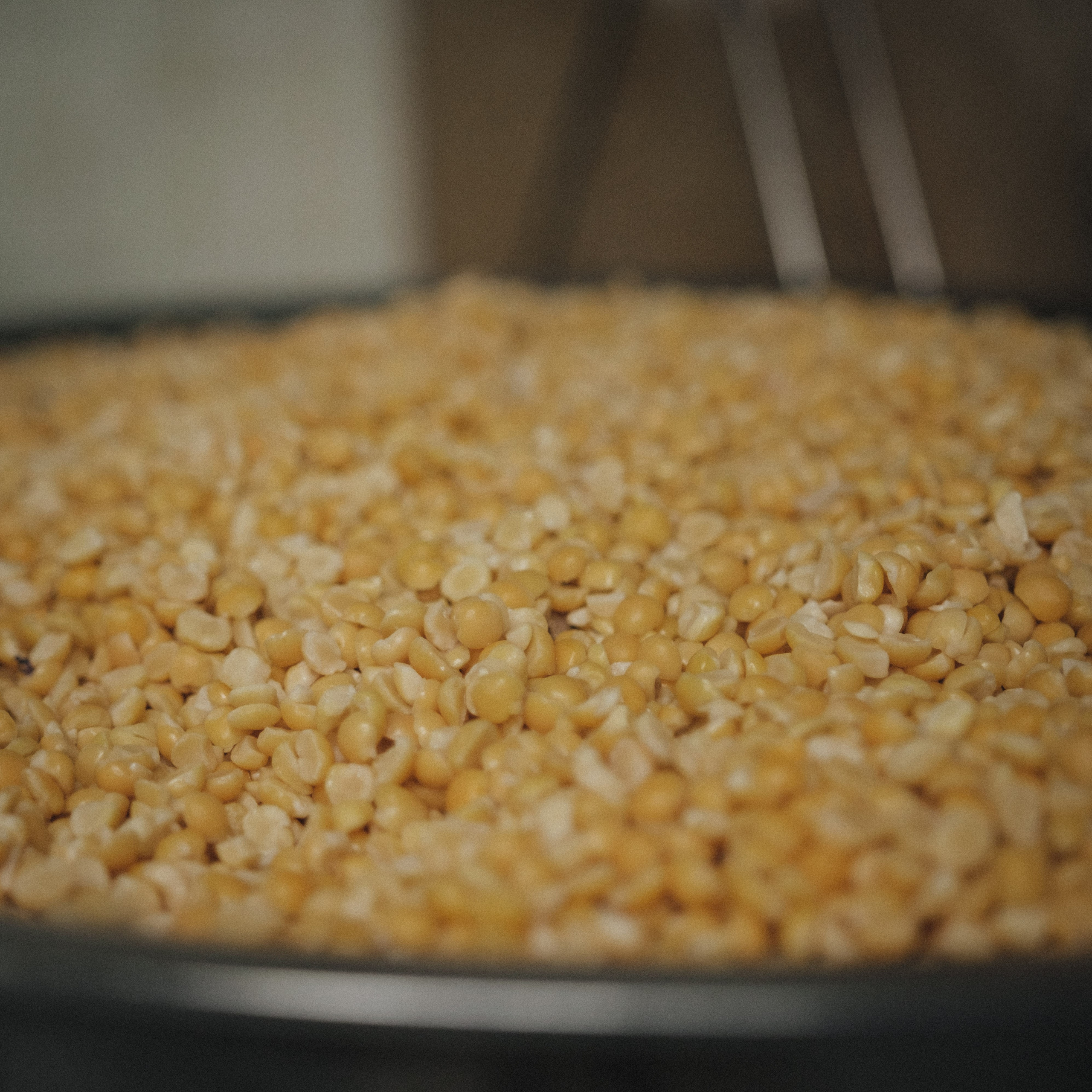 Снова готовка для кормления бездомных. Фотограф в Москве Максим Скоробогатов