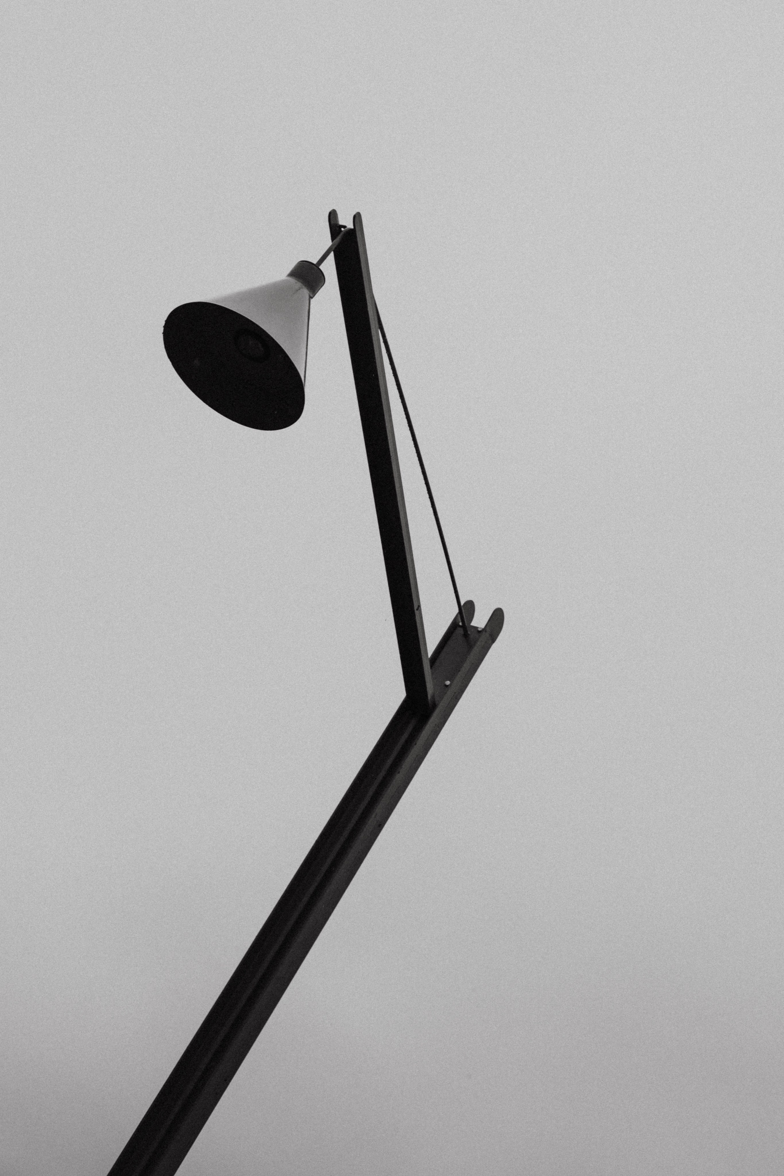 Руслан в малине. Фотограф в Нижнем Новгороде