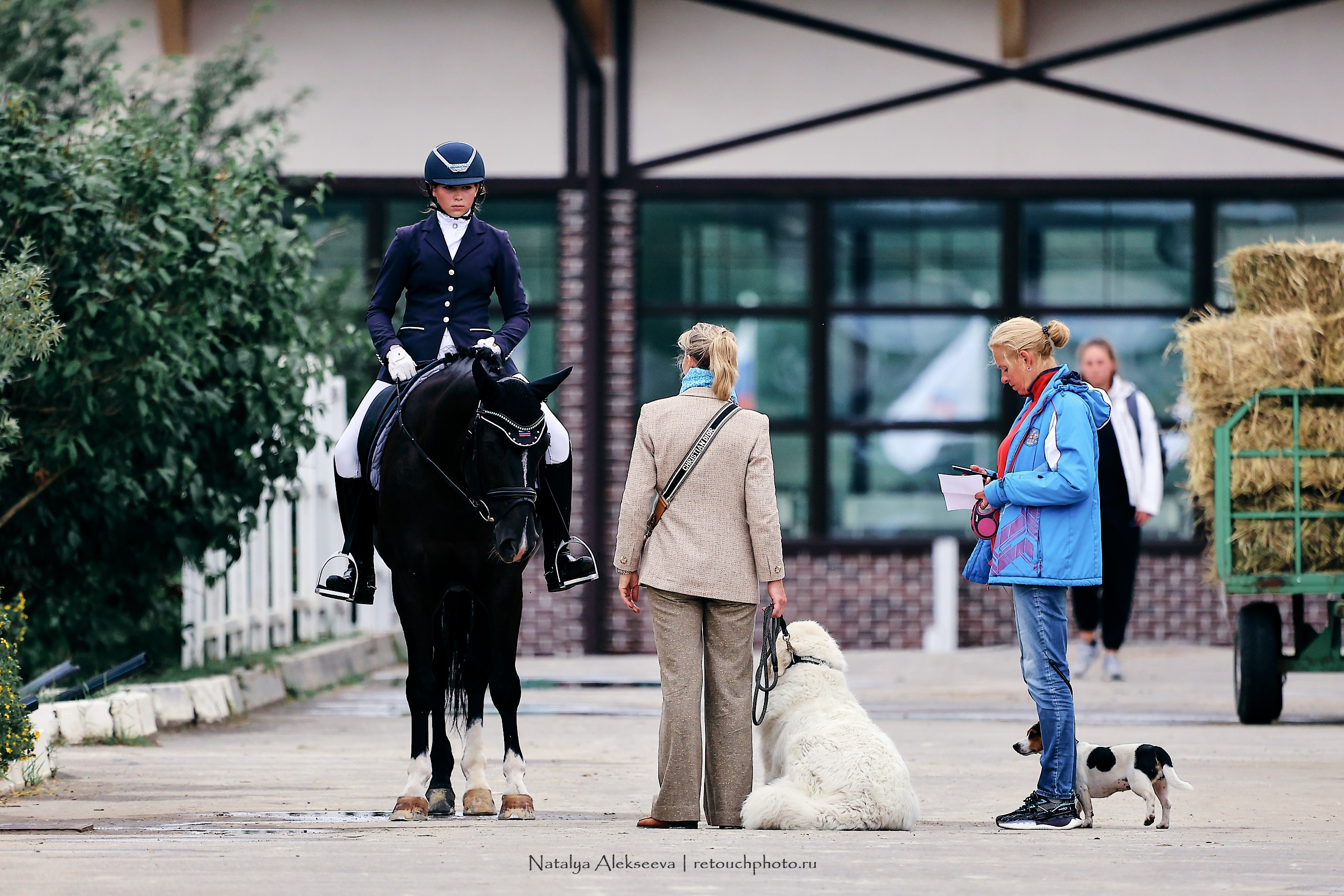 Евразийские игры по выездке, Maxima Stables. Репортажный фотограф и ретушер в Москве Наталья Алексеева