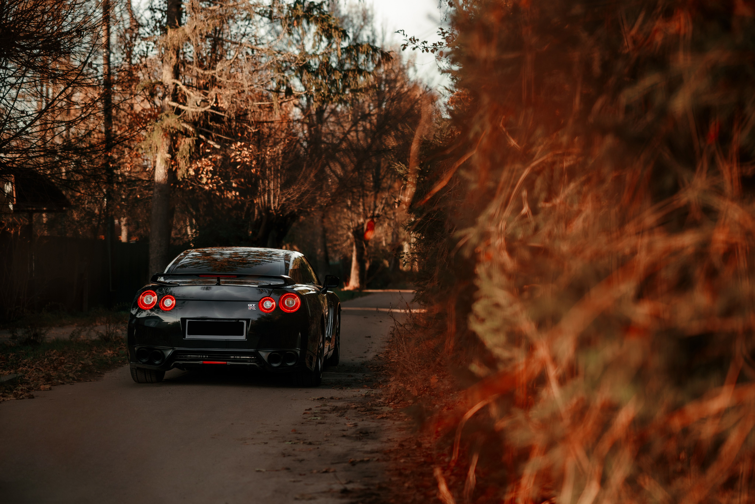Nissan GT-R35 autumn vibe. DeLorein