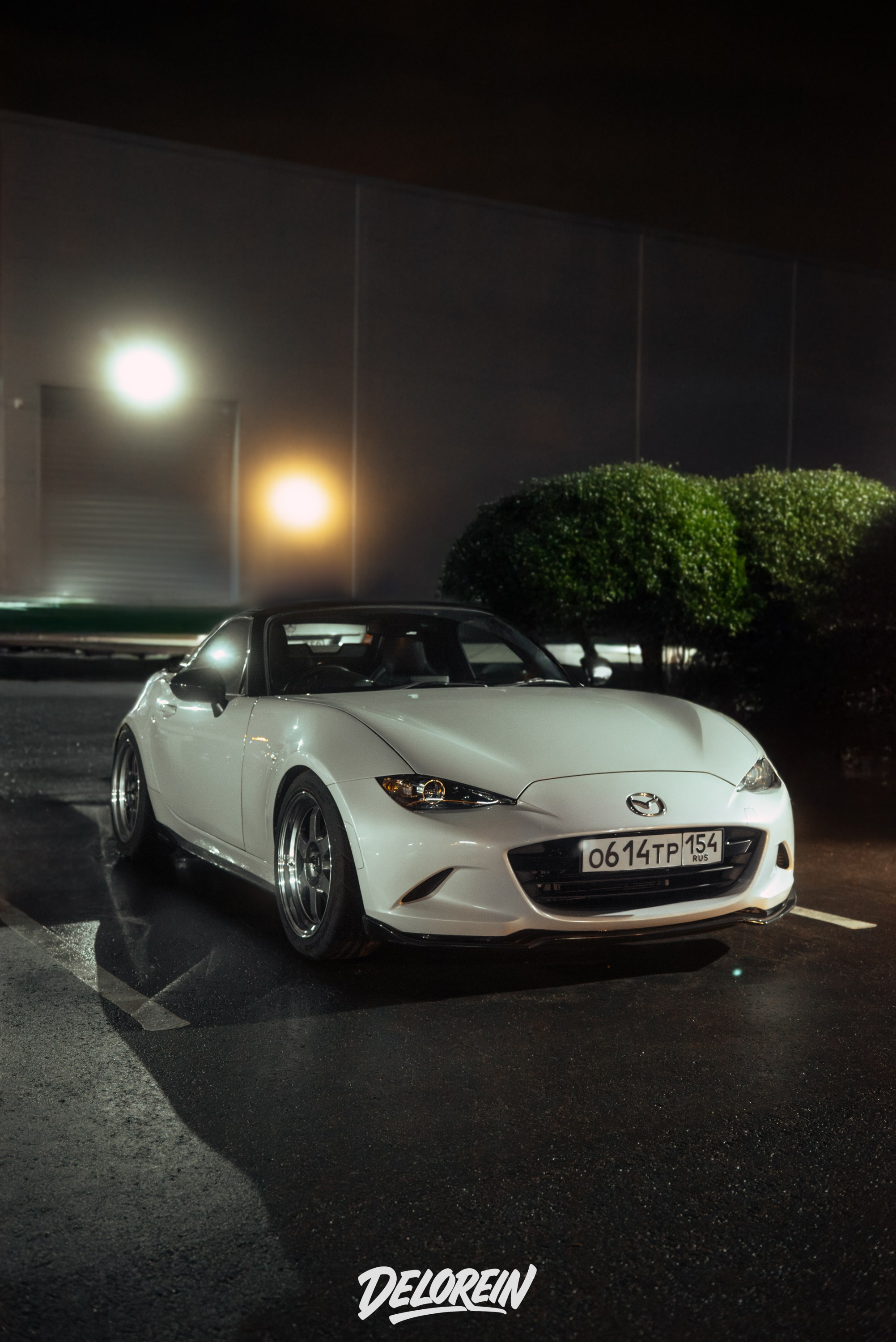 Downfly 16 июля 2025. DeLorein