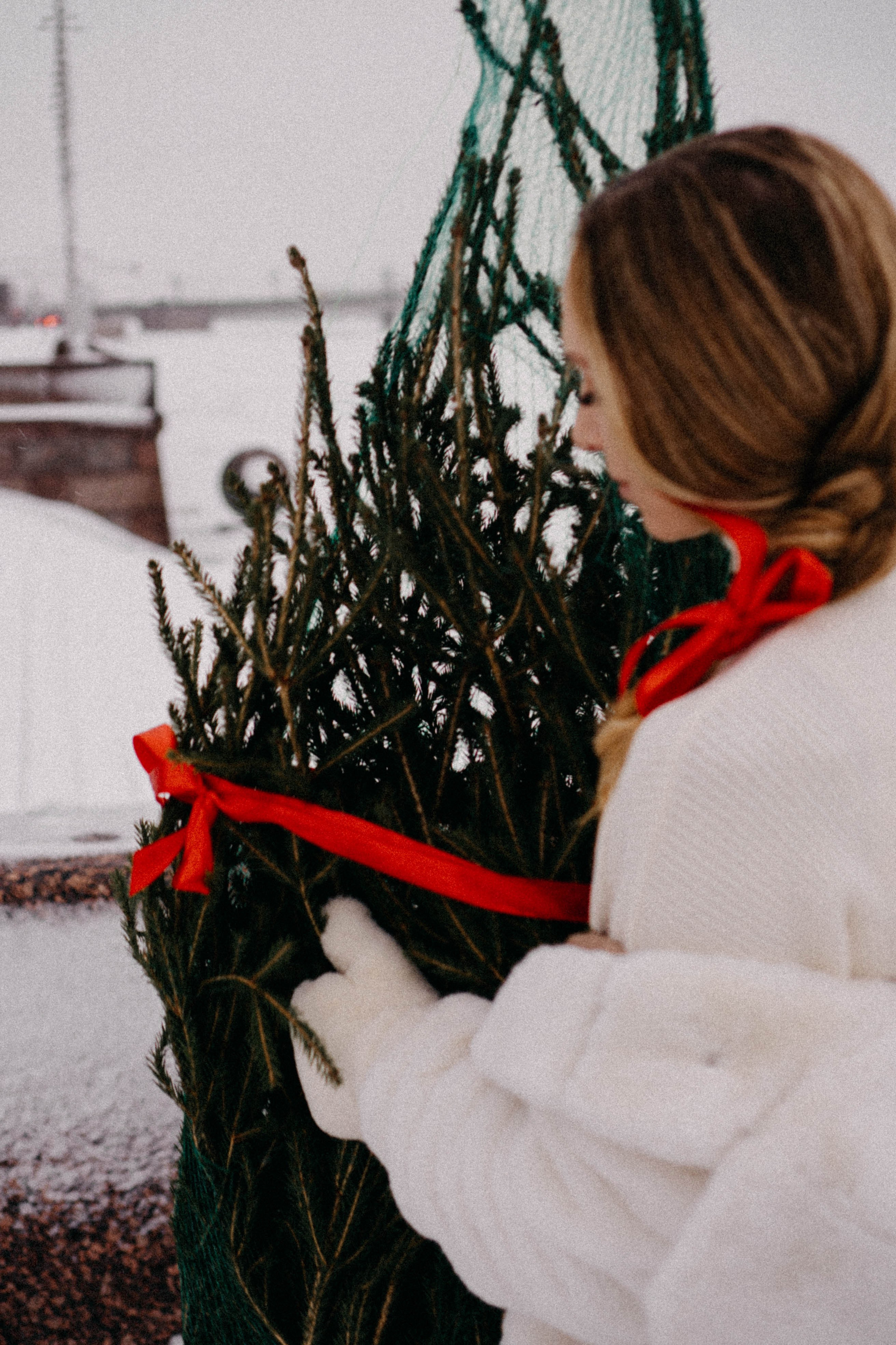 Новогодняя. Профессиональный фотограф, Санкт-Петербург — Виктория Богомолова