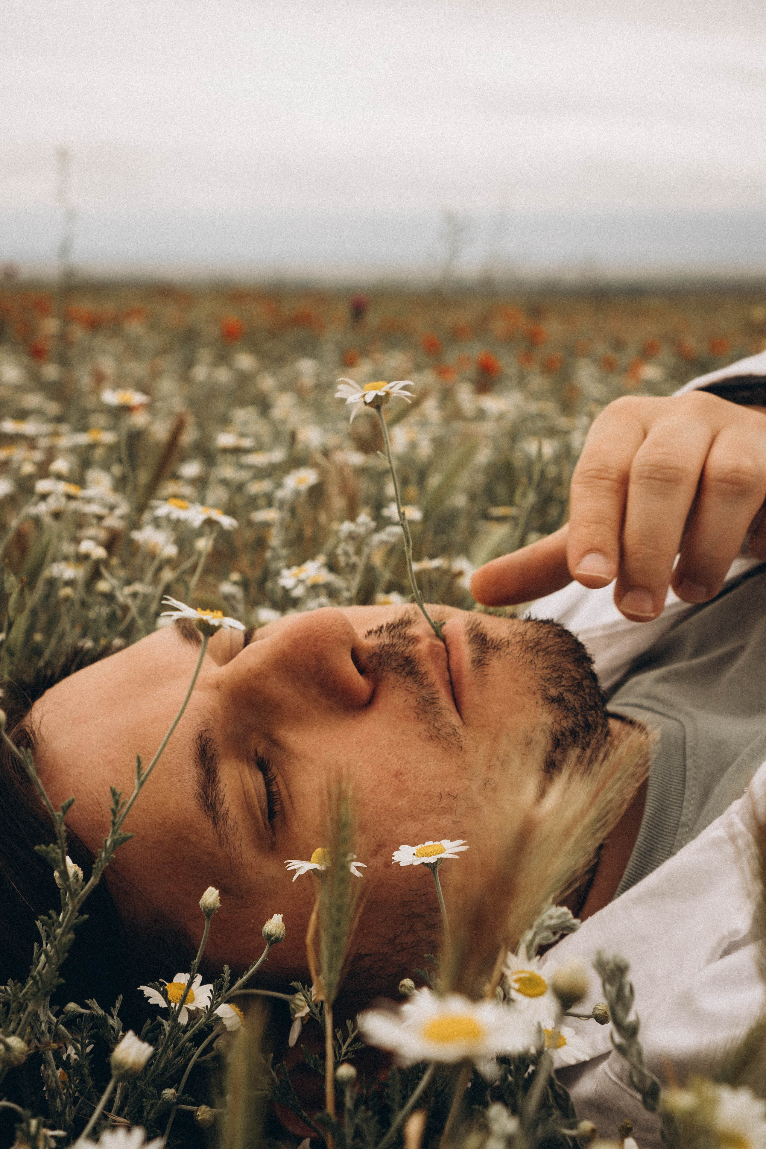 Маки. Профессиональный фотограф, Санкт-Петербург — Виктория Богомолова