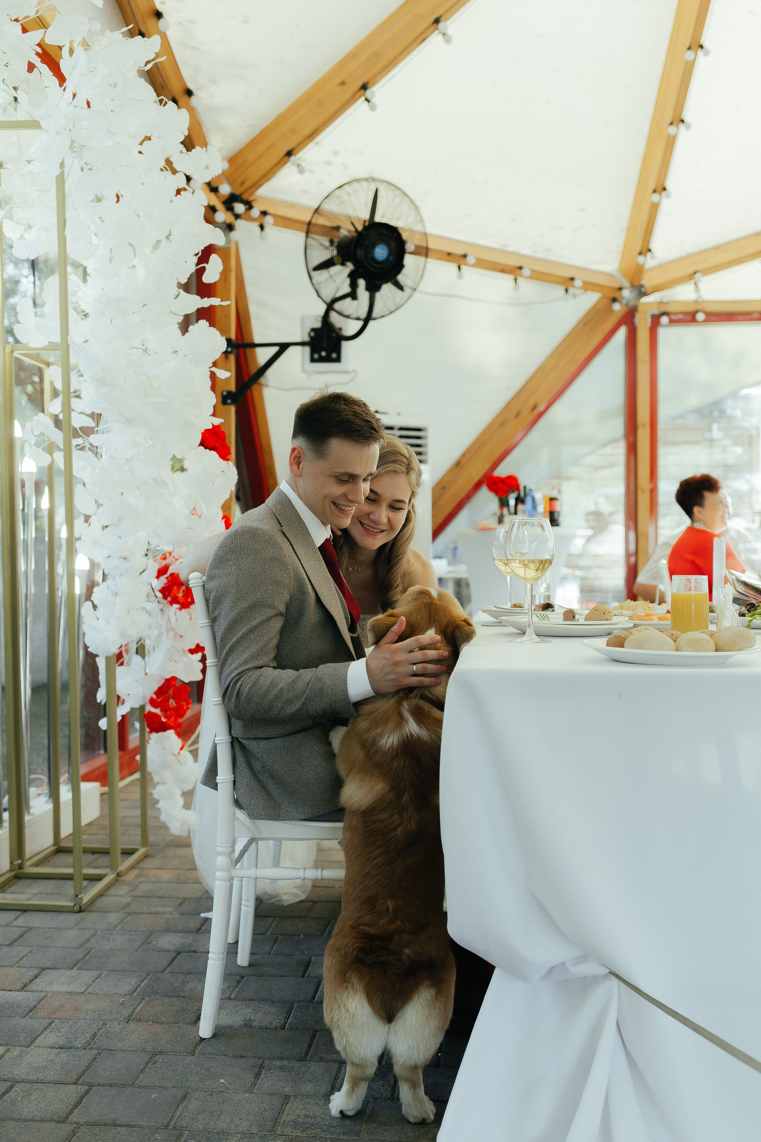 D & D. Фотограф Ольга Сапронова. Свадебный фотограф Ольга Сапронова