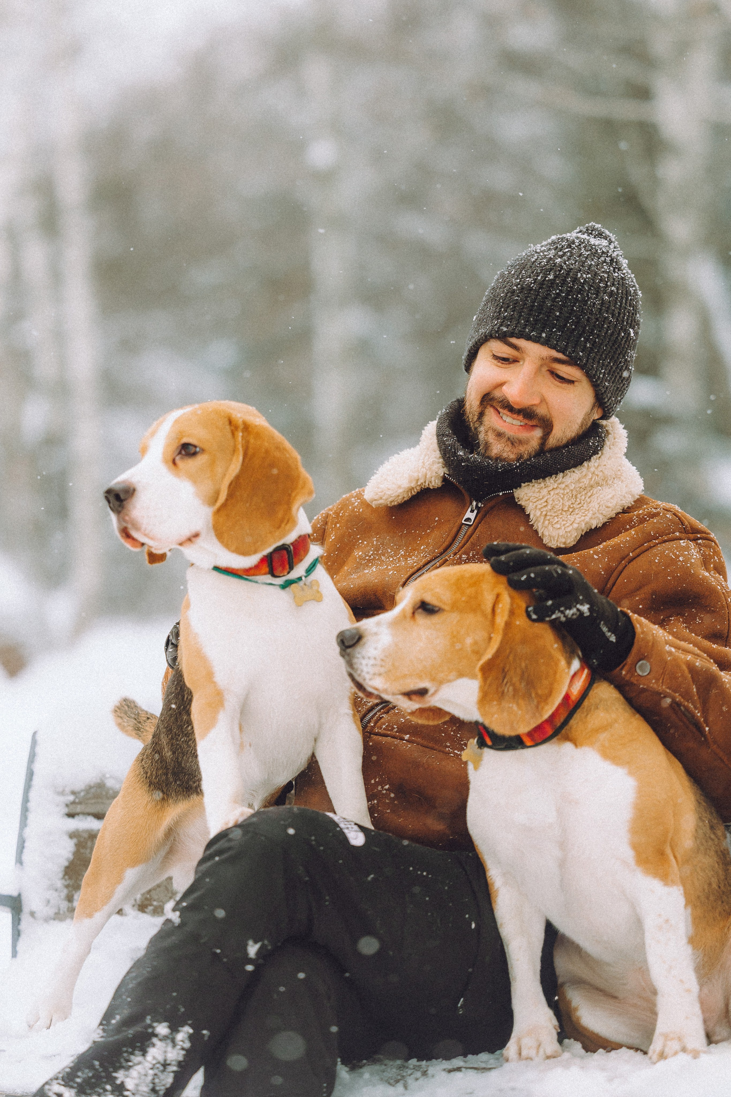 Роман, Портер и Коррес
