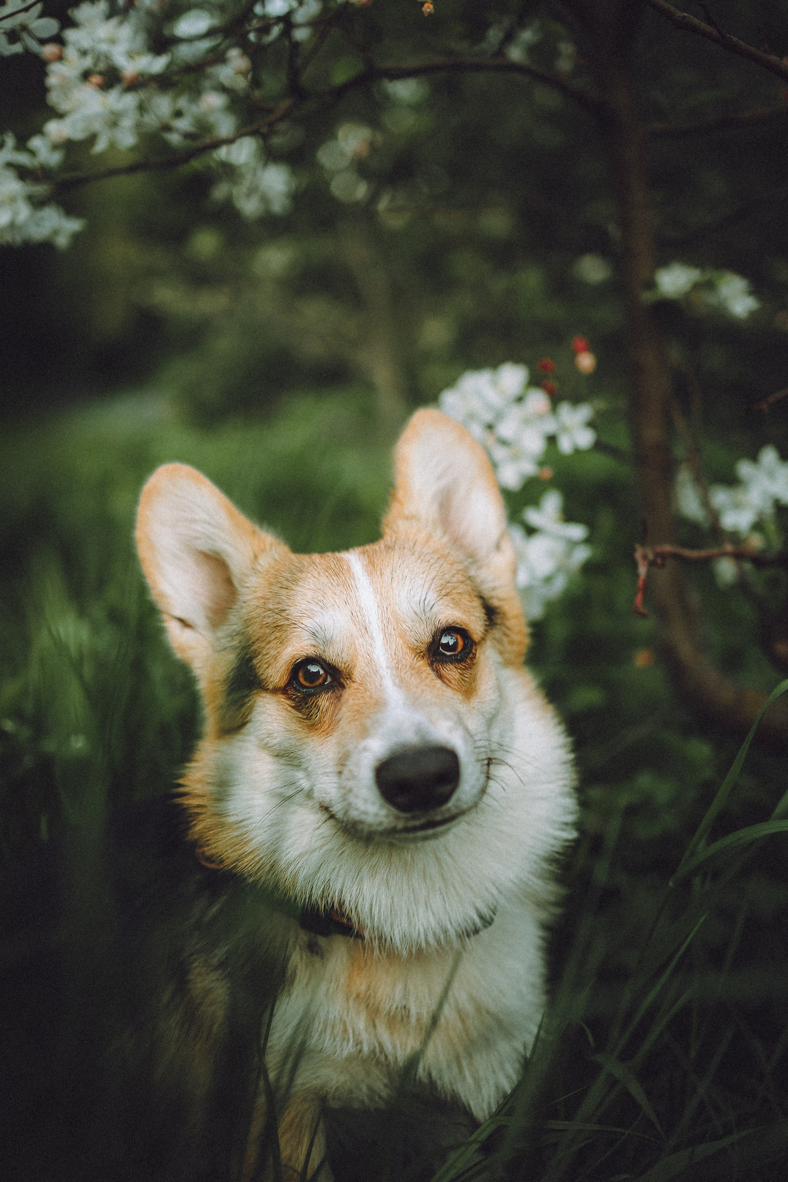 Илай, Зайка и их семья