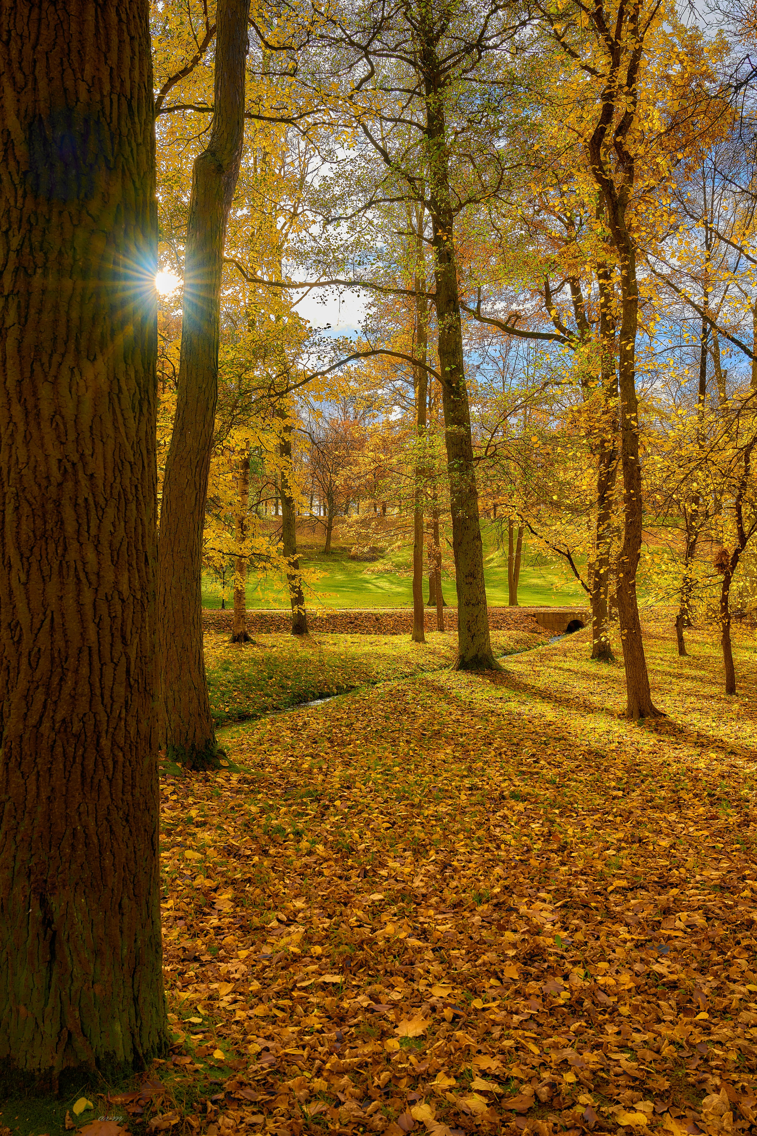 Петергоф. Фотограф Михеев Андрей