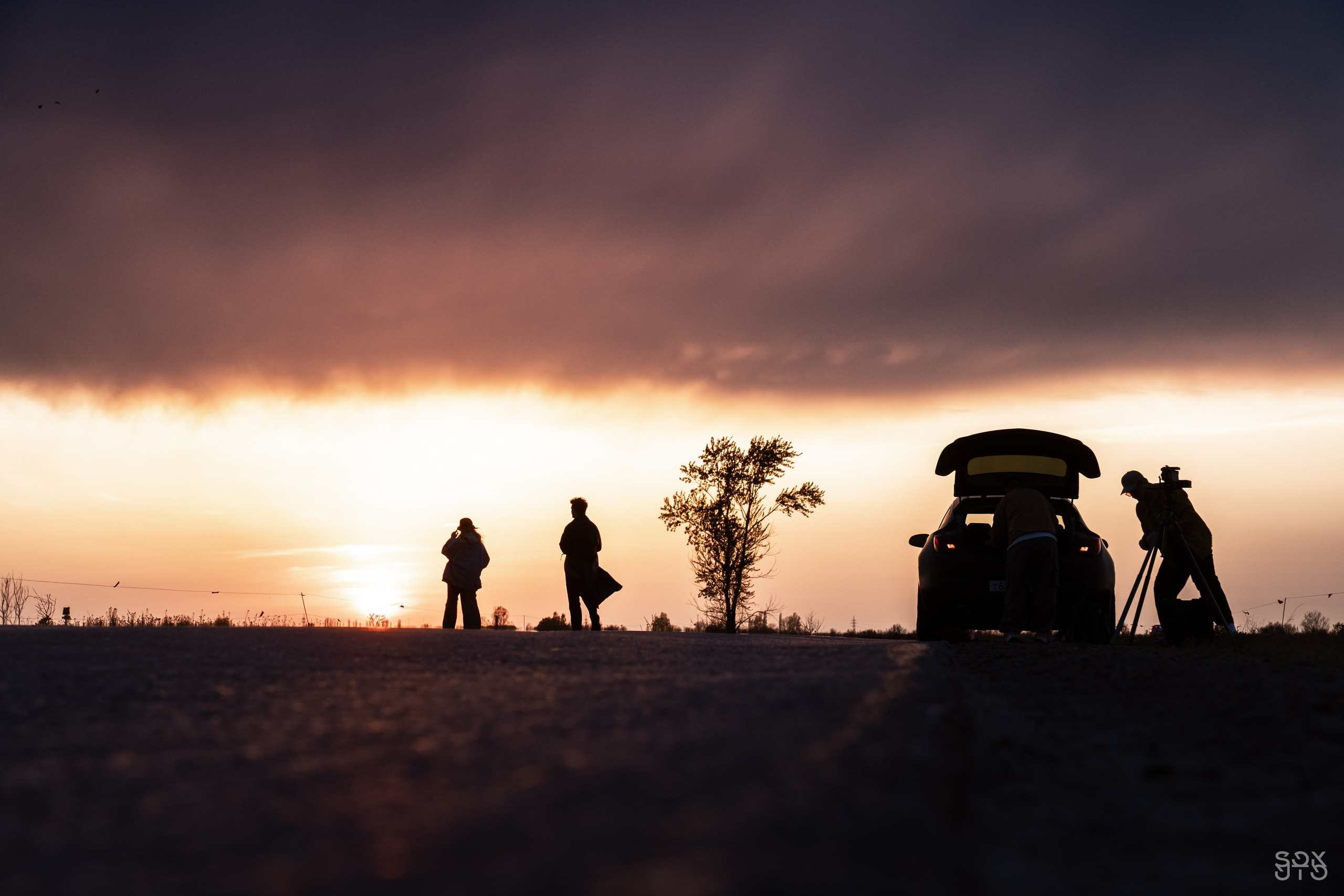 BAKED ROLL x Grad! ent