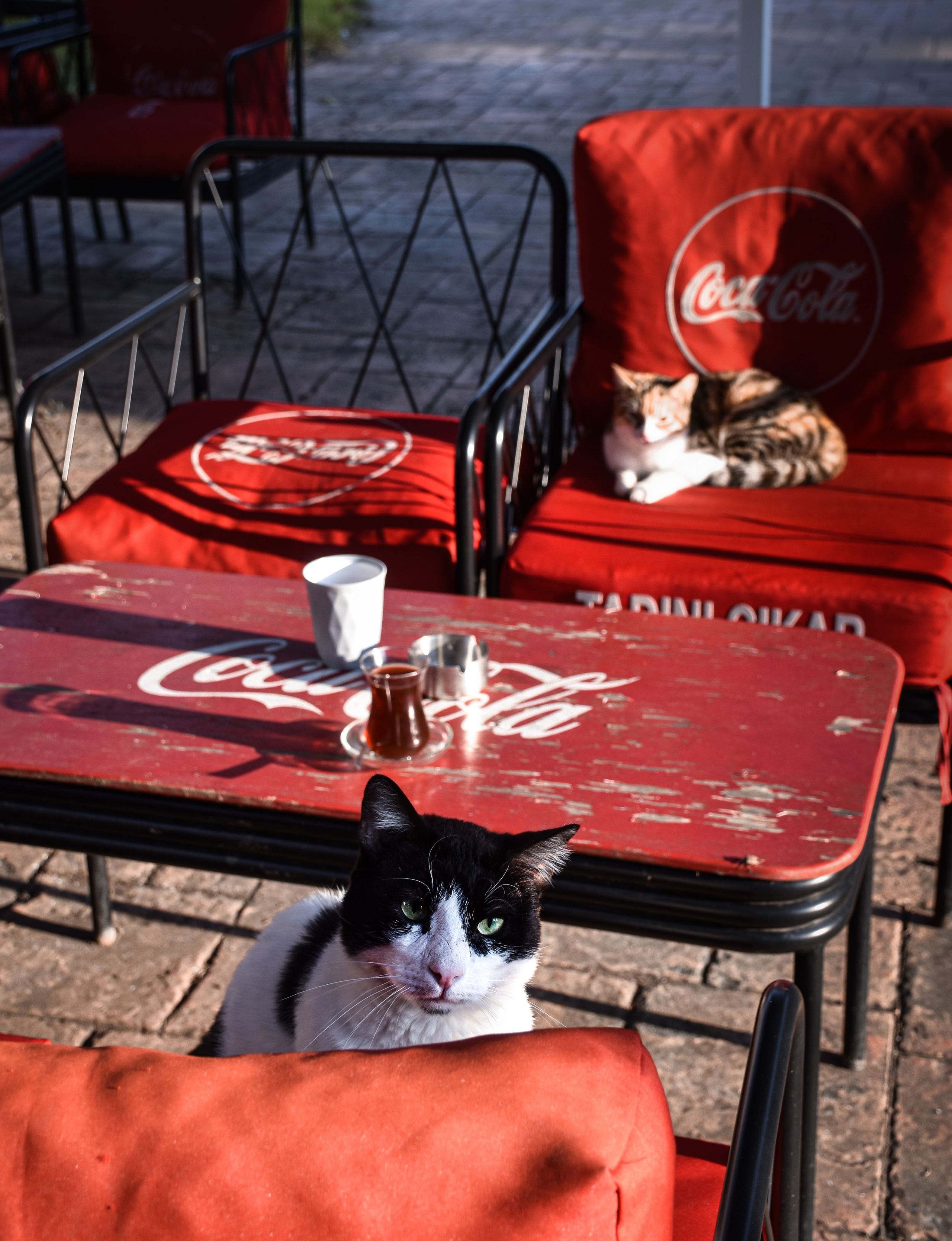 Стамбул — февраль 24. В созвучии с природой. Фотограф Светлана В. Пронина, Москва