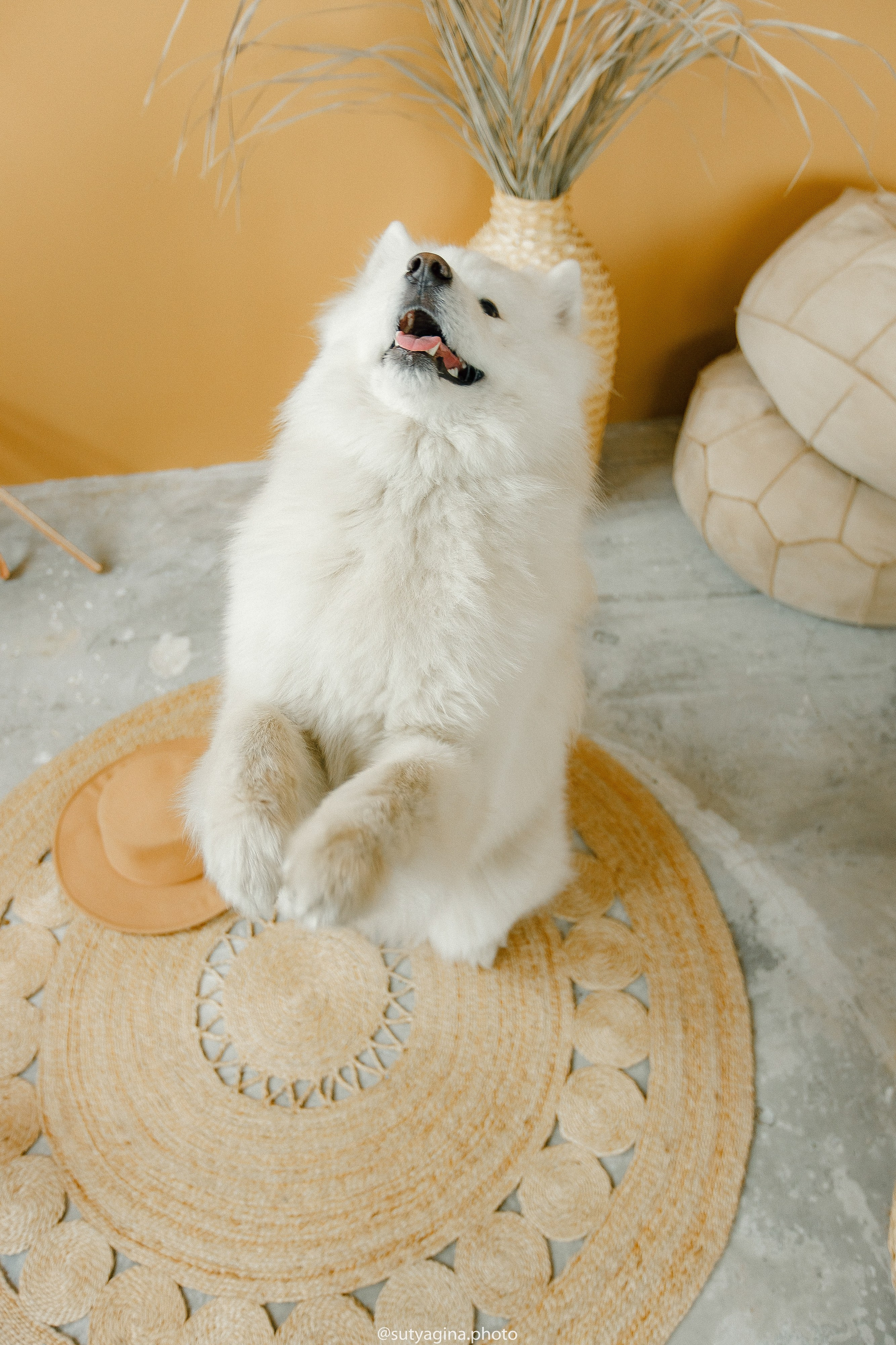 Самоед Мартин. Свадебный и женский фотограф