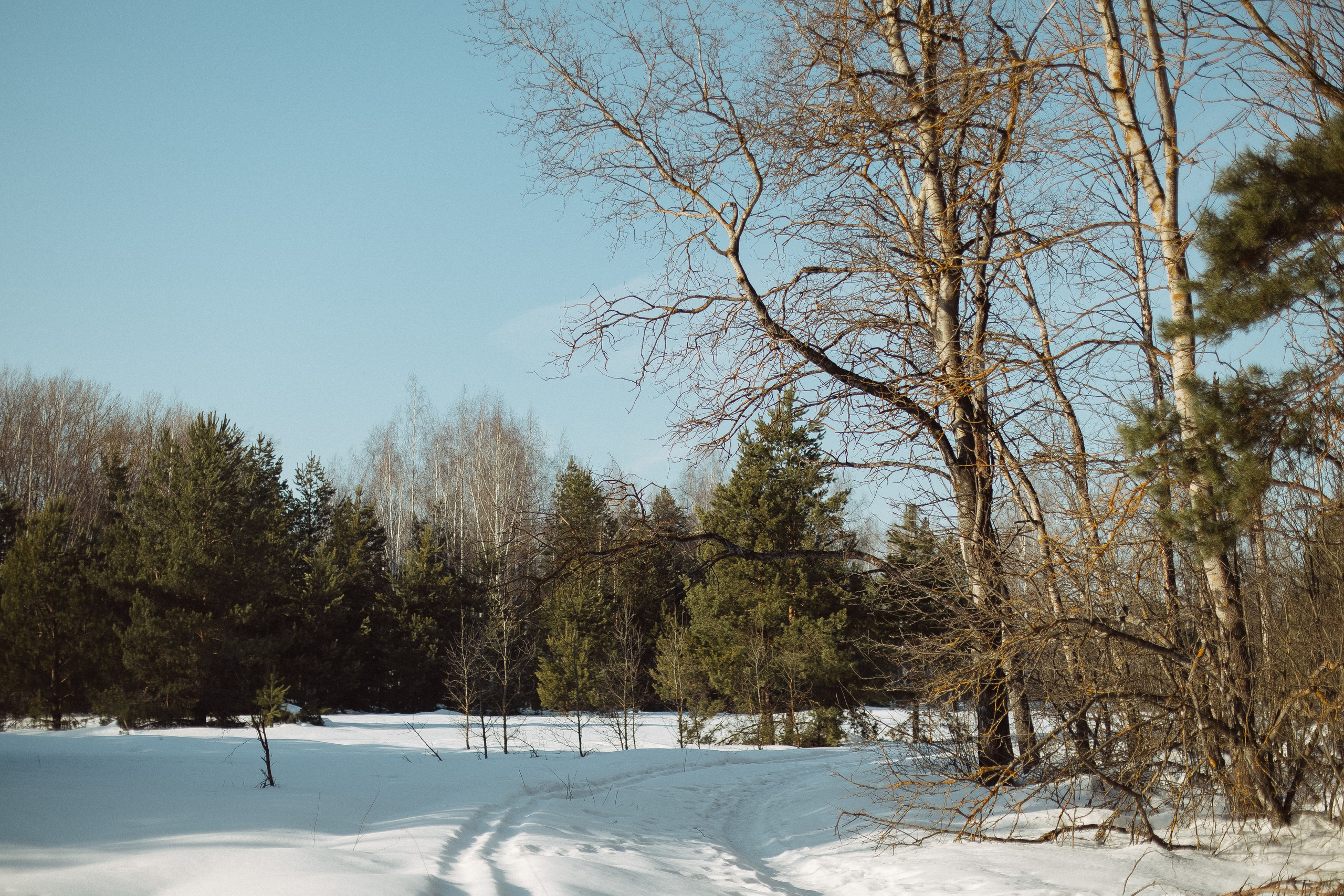 Экопарк ПОЛЯНЫ. Главная