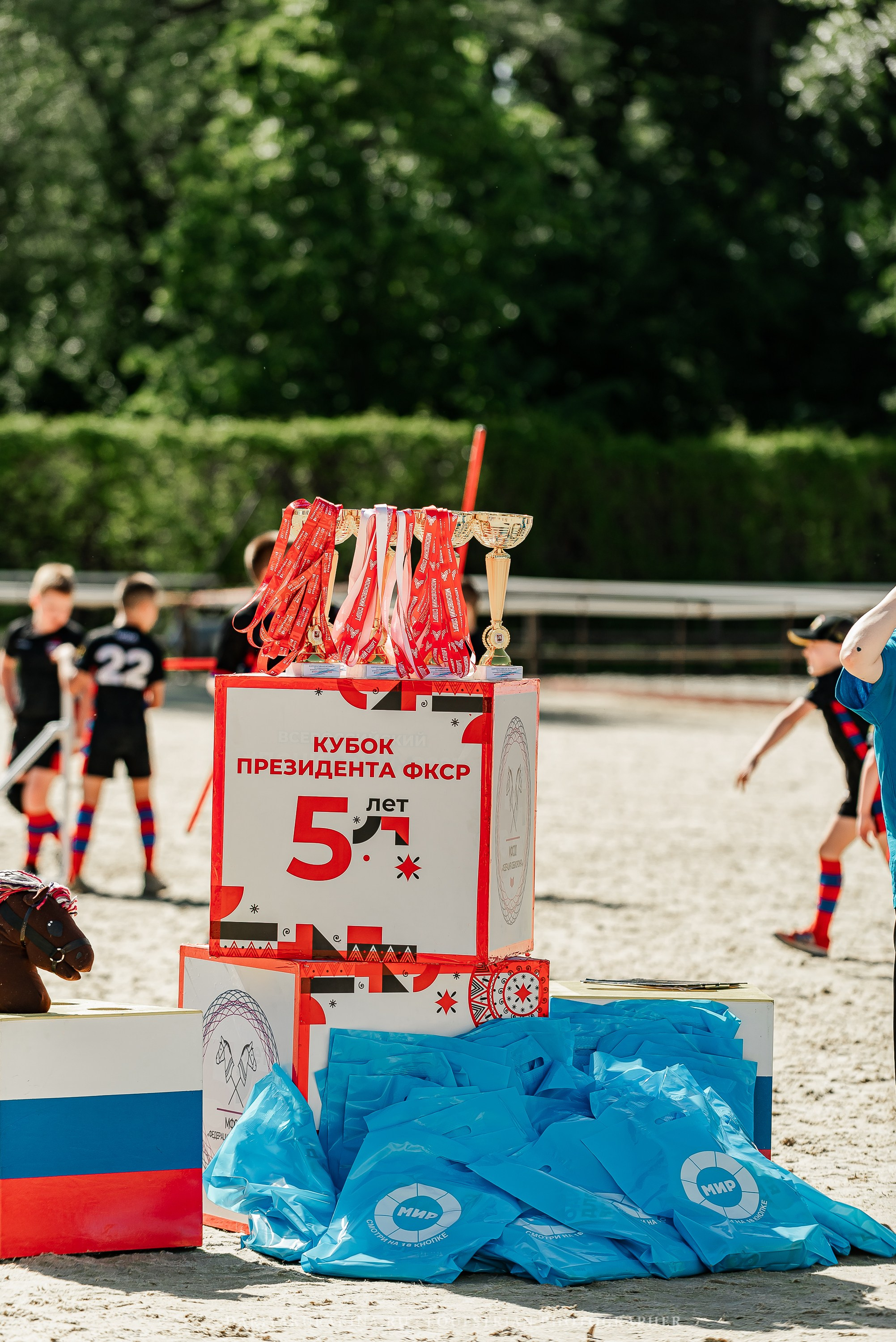 #ПОНИФОРУМ 2024. Конный фотограф Куракина Дарья • Фотосессии с лошадьми