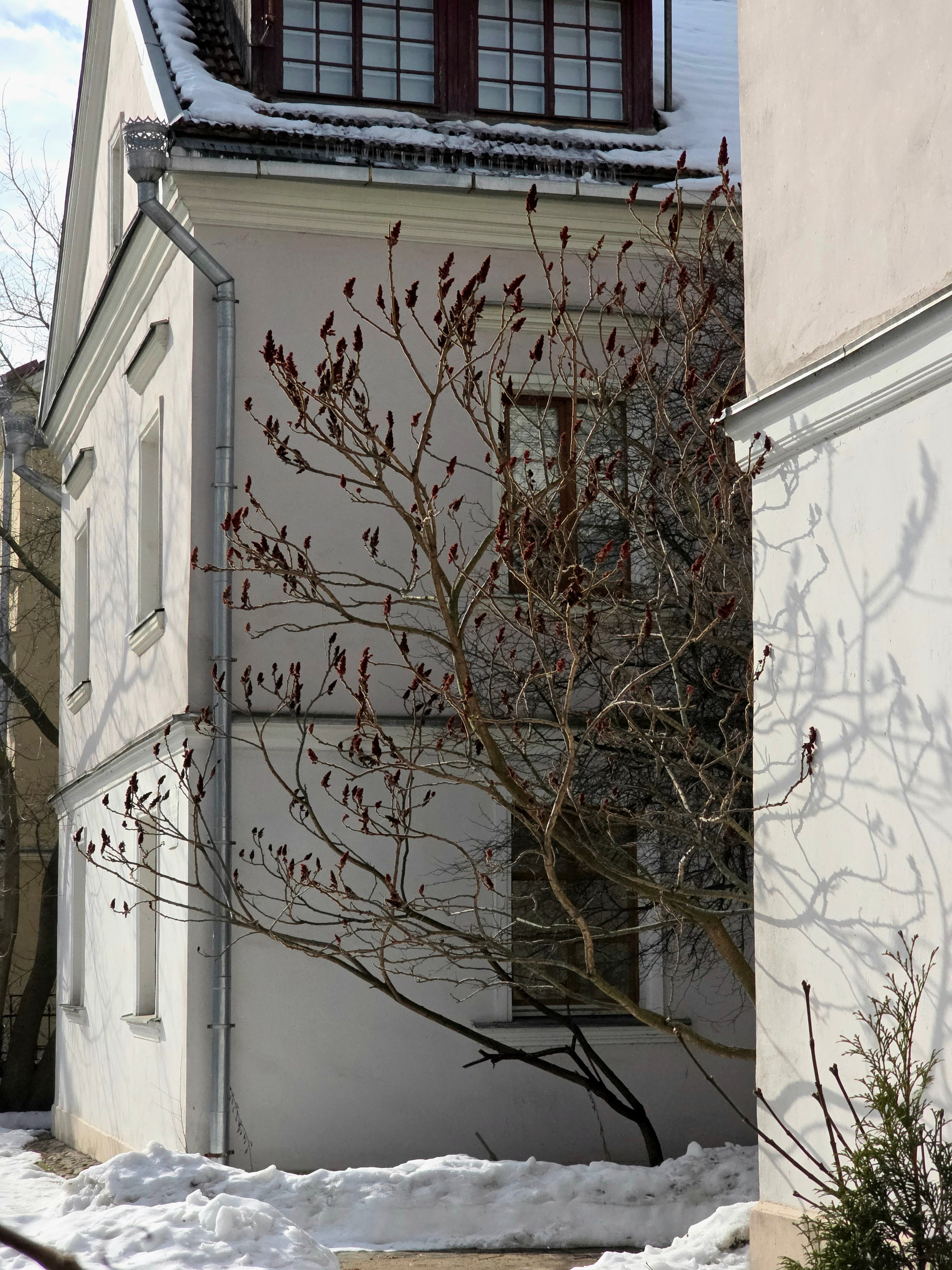 И просто внутренние дворики