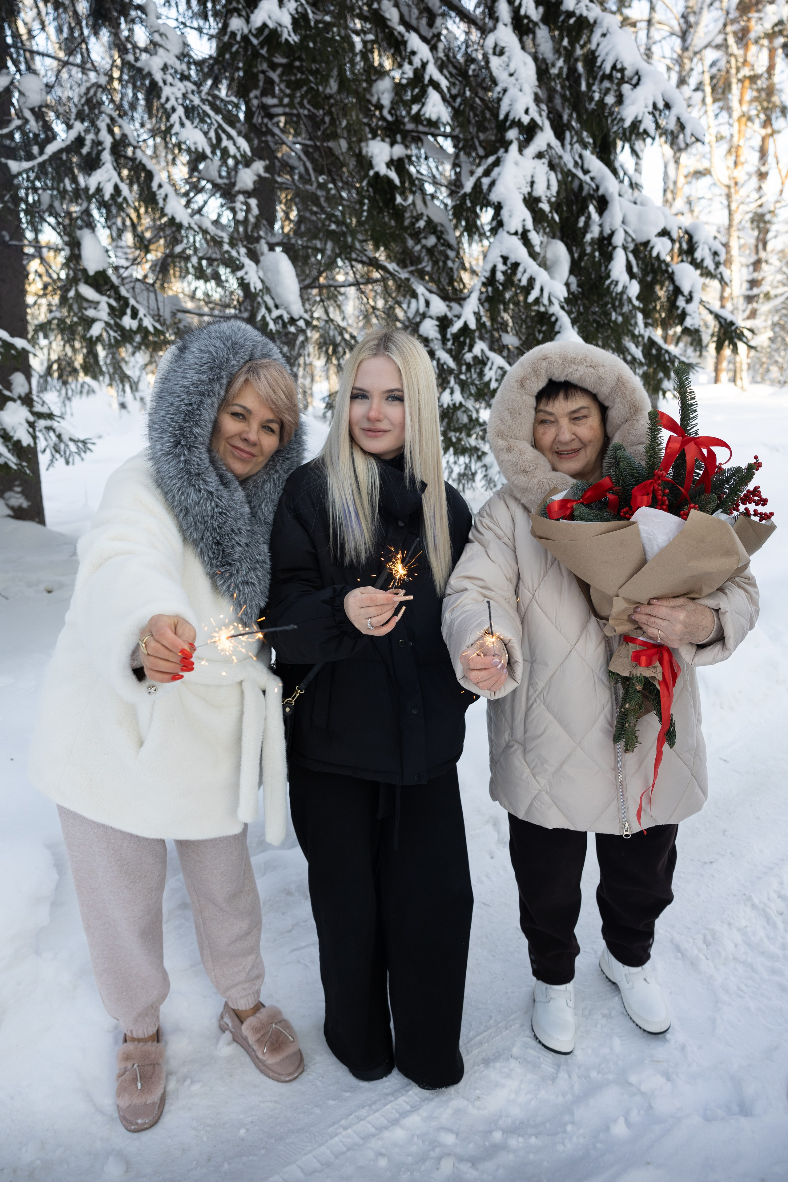 Новогодние. Фотограф Новосибирск, Академгородок, Бердск — Айна