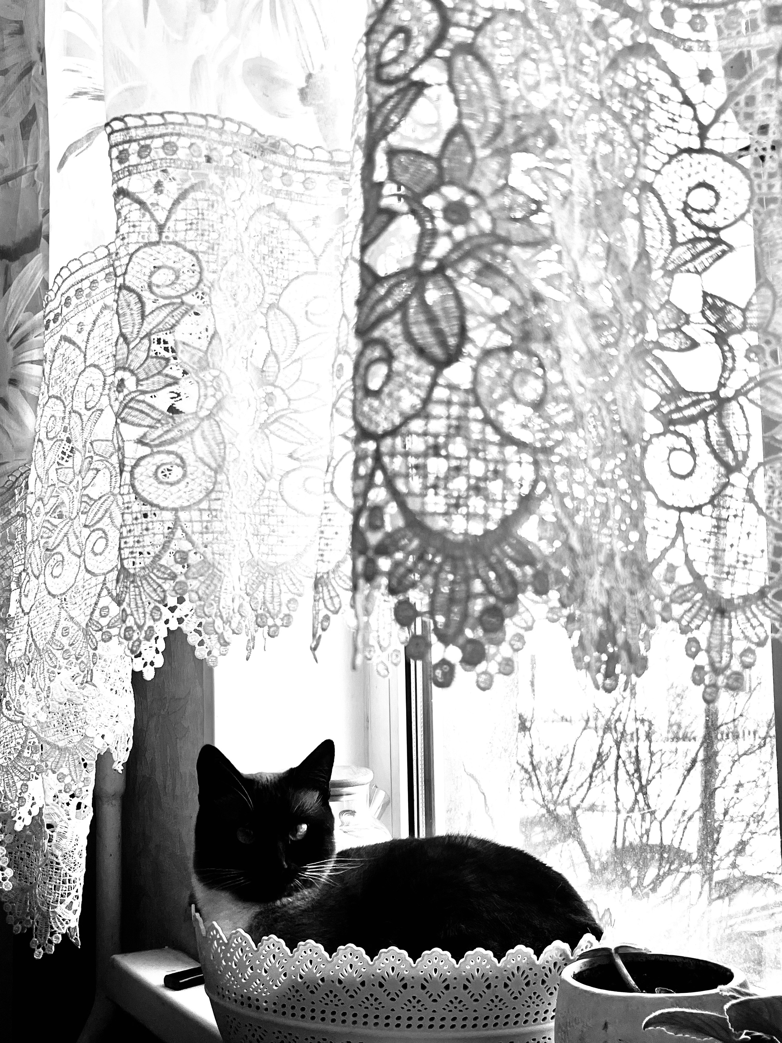 Маленькая история, 2024. Портретный фотограф в Москве Евгения Яковенко