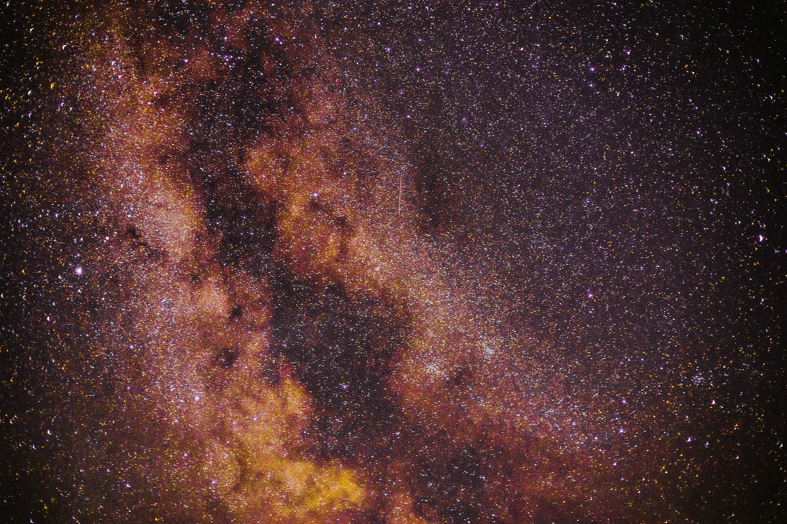 N a t u r e. Your photographer