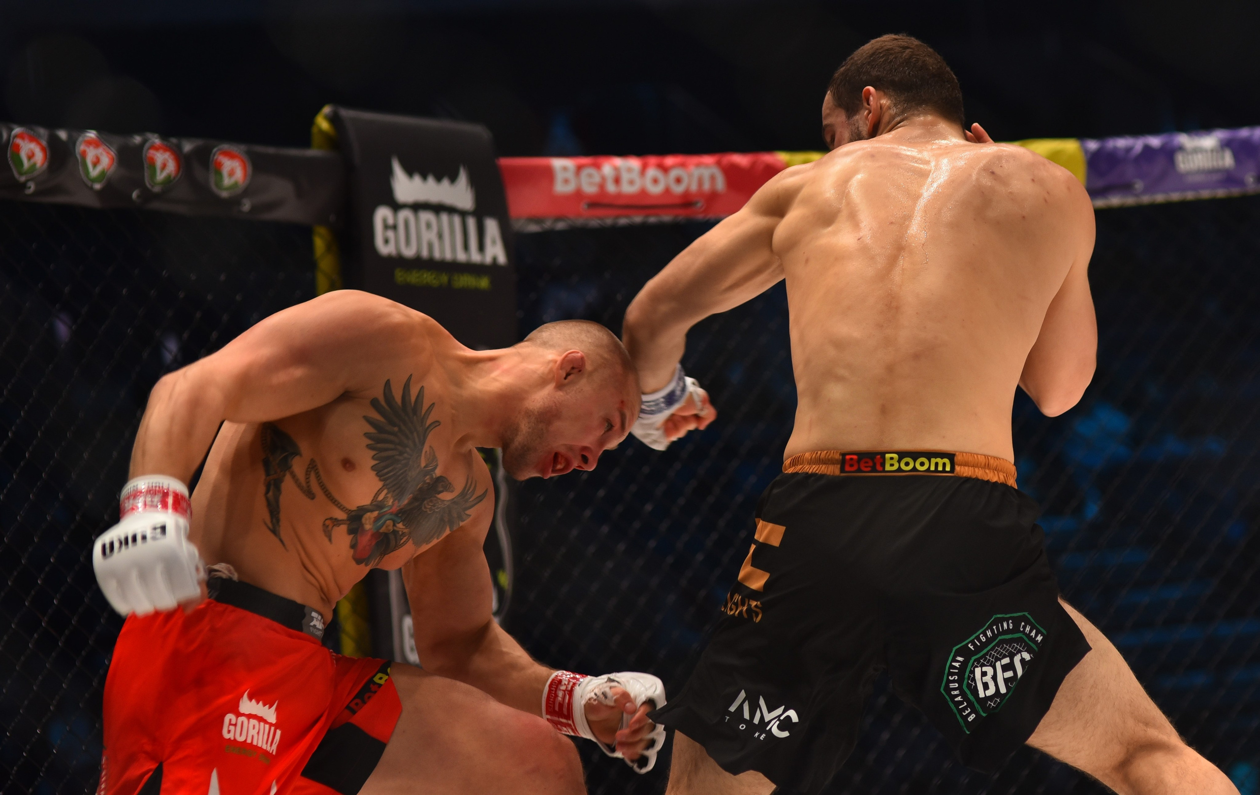 Фото спортивных мероприятий и награждений спортсменов. Фотоуслуги, услуги фотографа, фотографирование важных событий