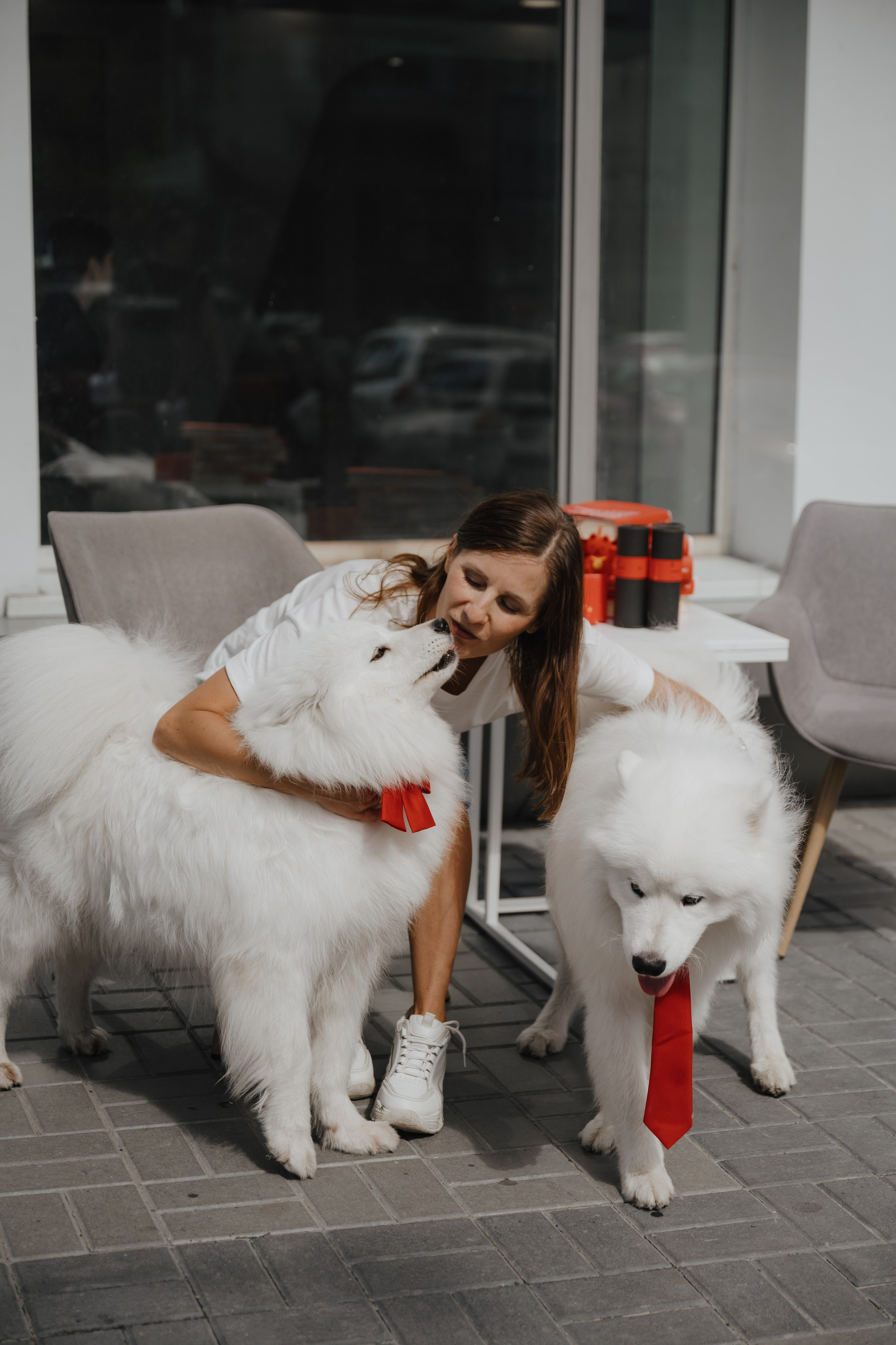 Альфа банк Карла Маркса 55. Фотограф Кристина Тумаева. Самоед Новосибирск