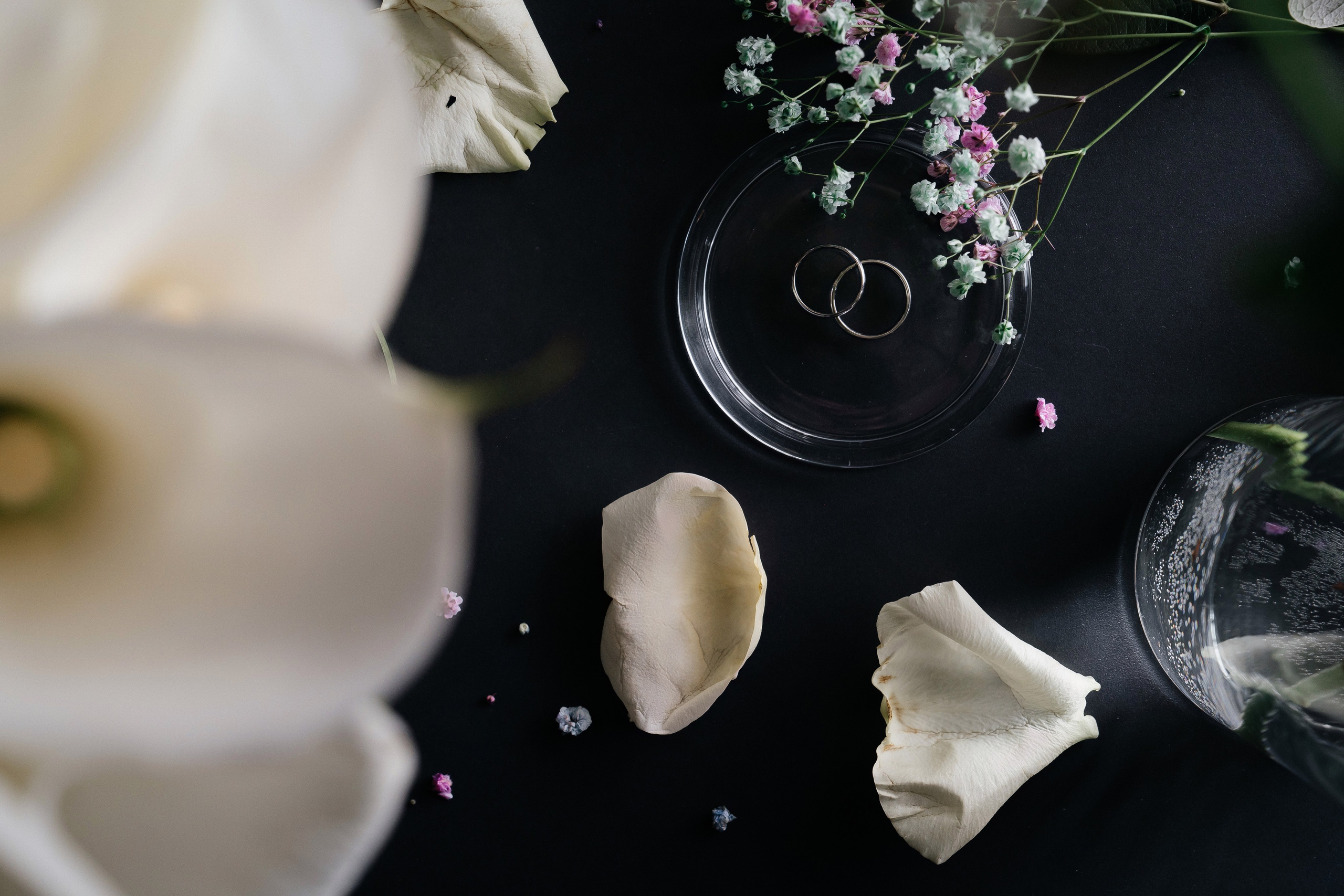 Давид & Александра. Lokos.pro Ник Соколов Фото и Видео Москва/Ростов-на-Дону