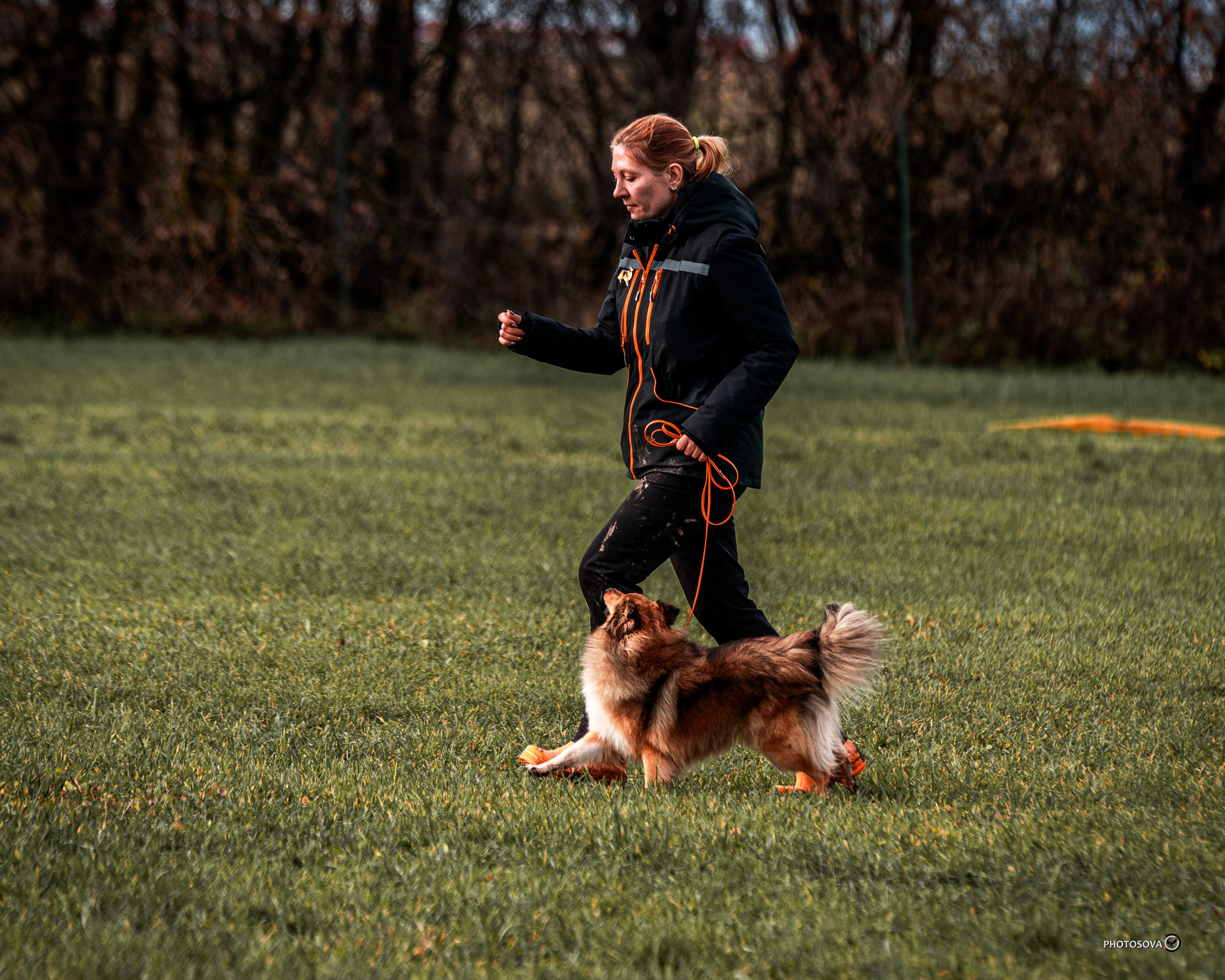 МЫ — КОМАНДА (соревнования) OKD, BH, IBGH, IGP. Фотограф-анималист, семейный фотограф в Москве и Подмосковье. Фотосъёмка кинологических дисциплин