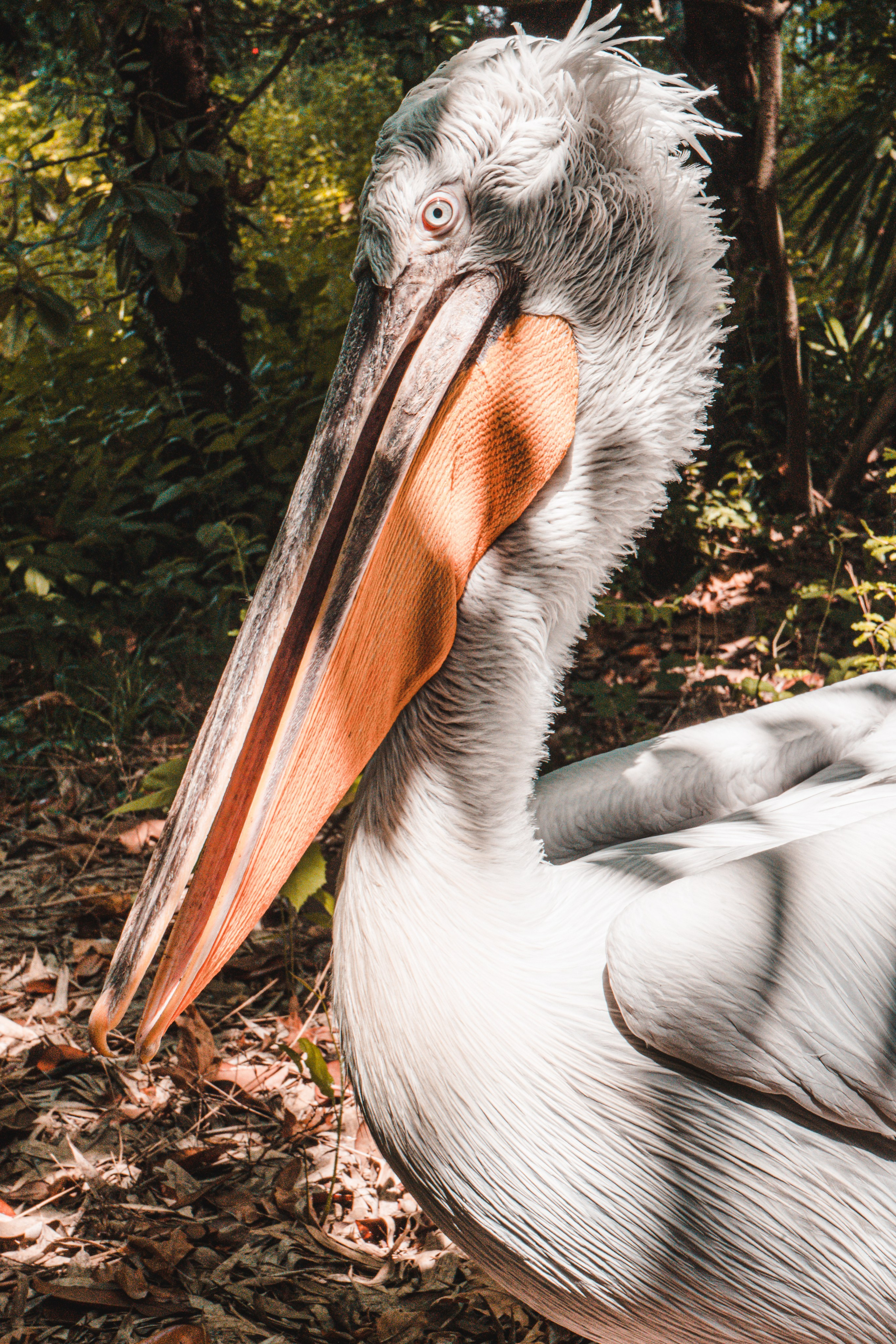 Натура. Владислав Кожух | Фотограф | Видеограф | Режиссёр