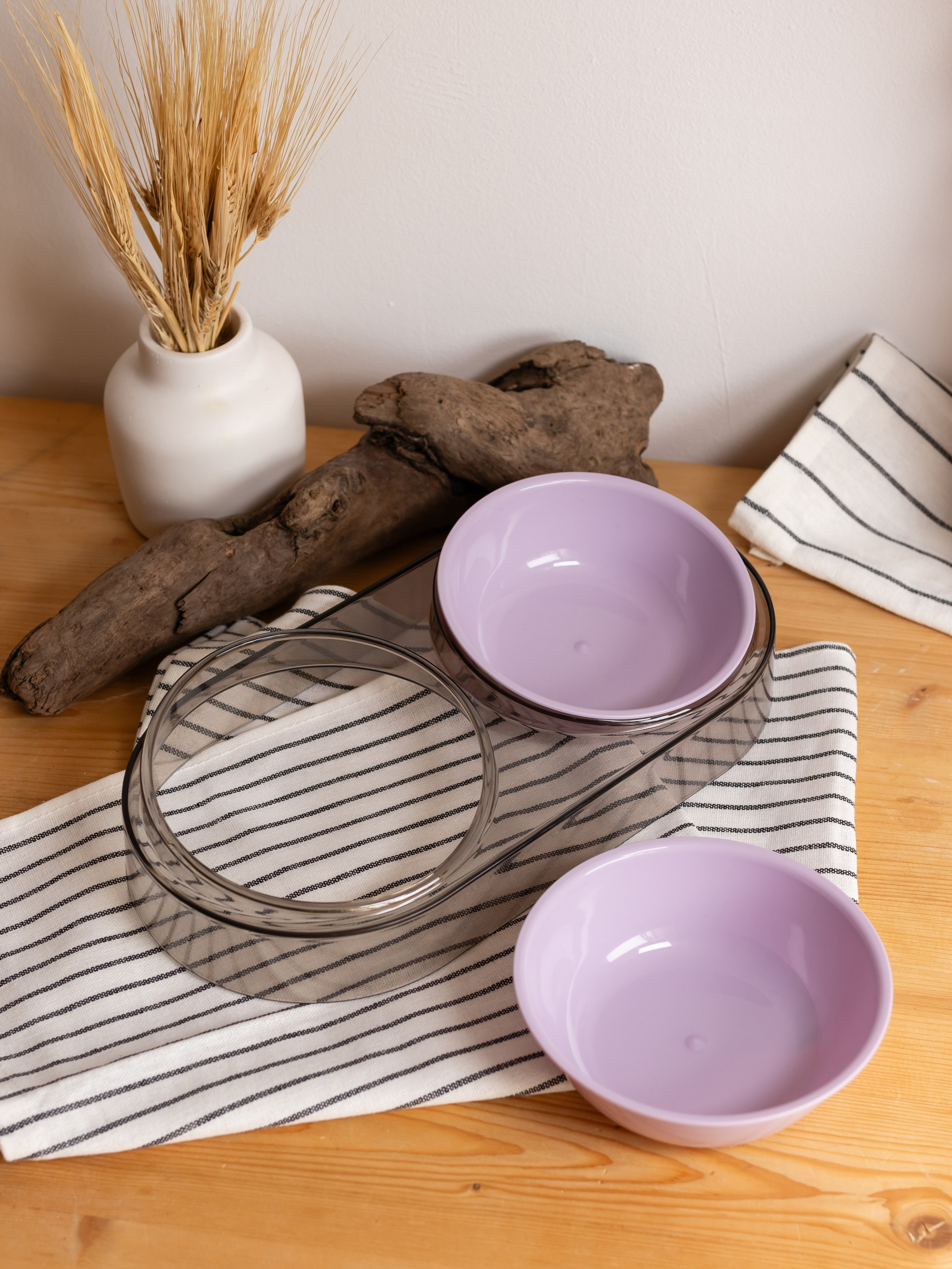 Миска для собаки. Фотограф в Краснодаре Арина Кудряшова