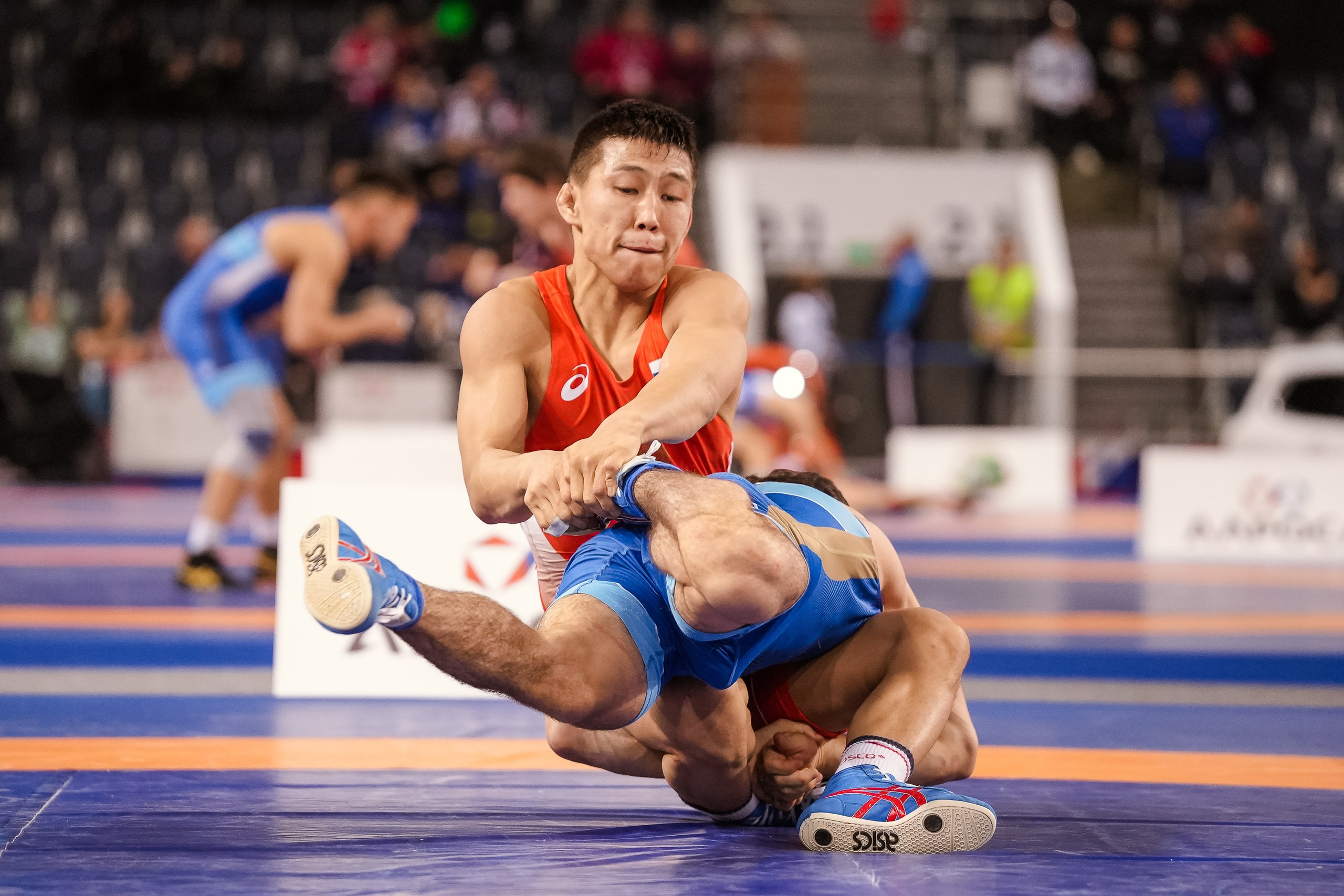 Кубок Ивана Ярыгина 2024 фото / Ivan Yarygin Cup 2024 photos. Фотограф Анна Герман. Красноярск