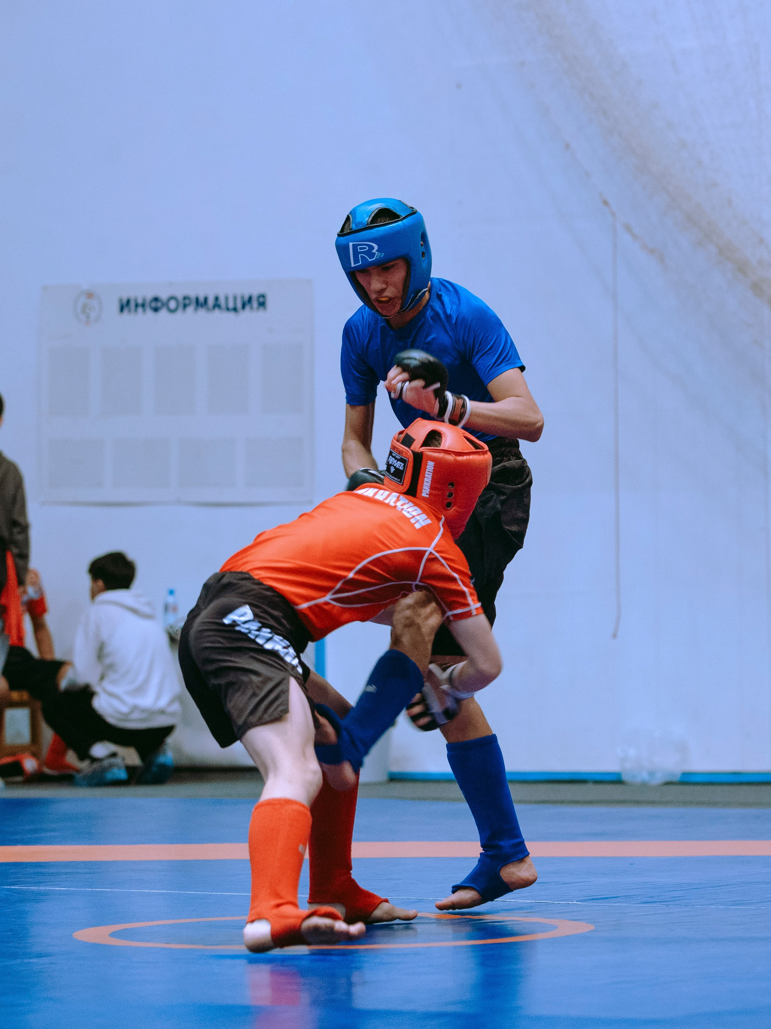 ПАНКРАТИОН | Чемпионат и первенство СФО | март `24. Портретный фотограф в Москве Дарья Цезария