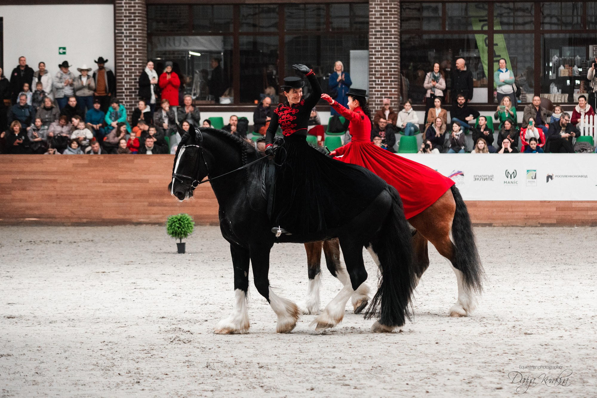 8-я международная выставка Конная Россия. Конный фотограф Куракина Дарья • Фотосессии с лошадьми