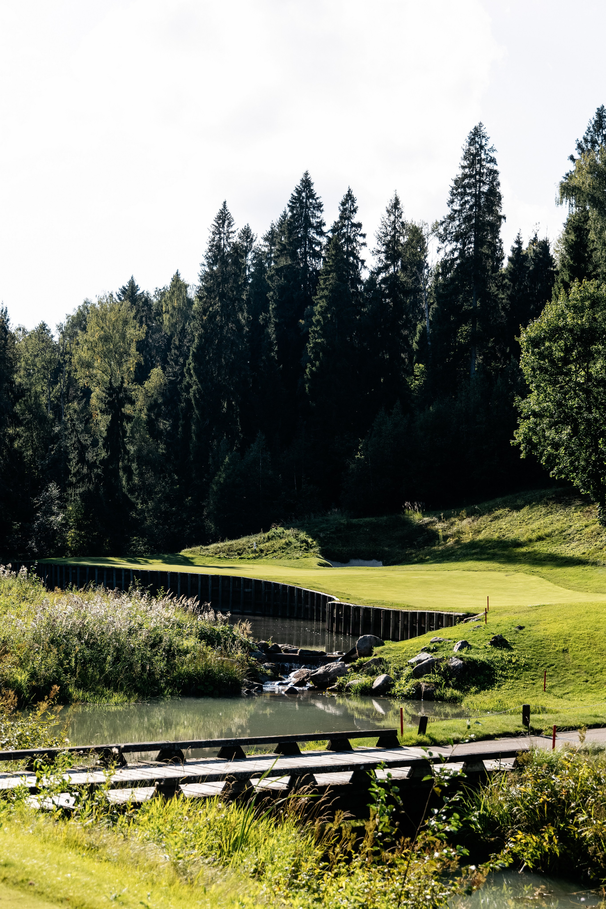 Целеево. Игра в гольф. Фотограф в Москве Анастасия Курлович