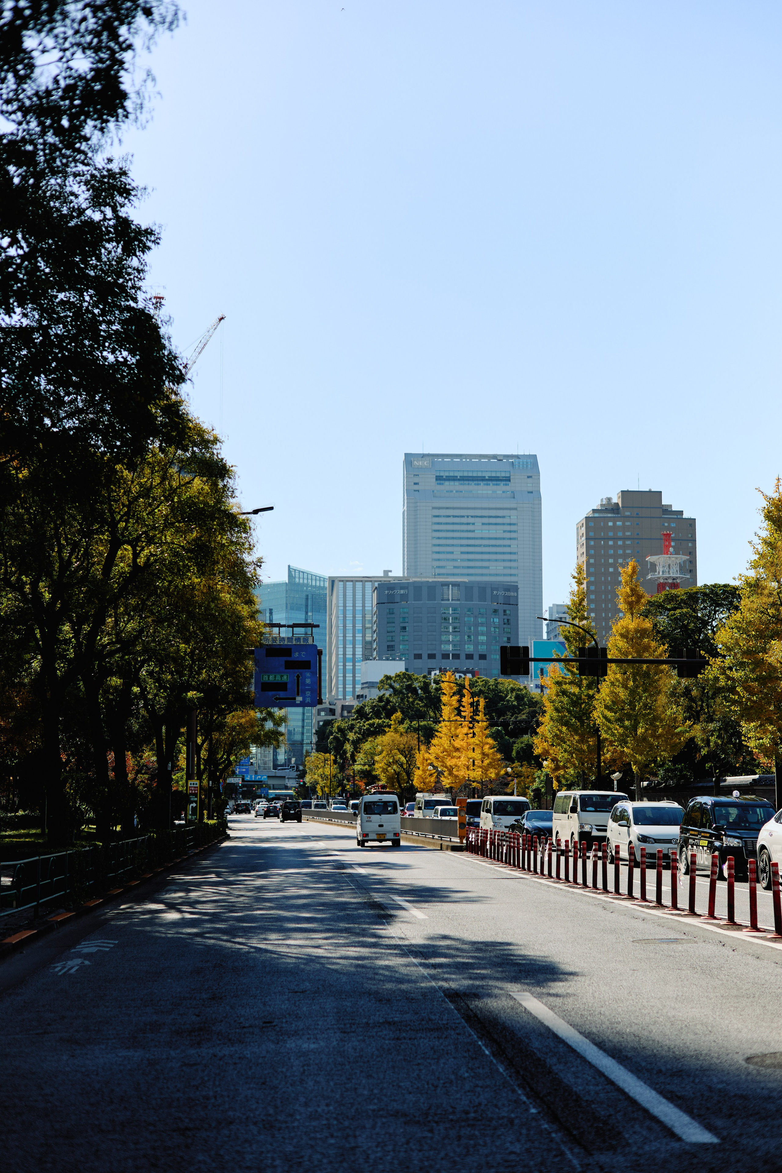 Япония. Профессиональный Фотограф во Владимире, в Москве и в Суздале — Полина Романычева