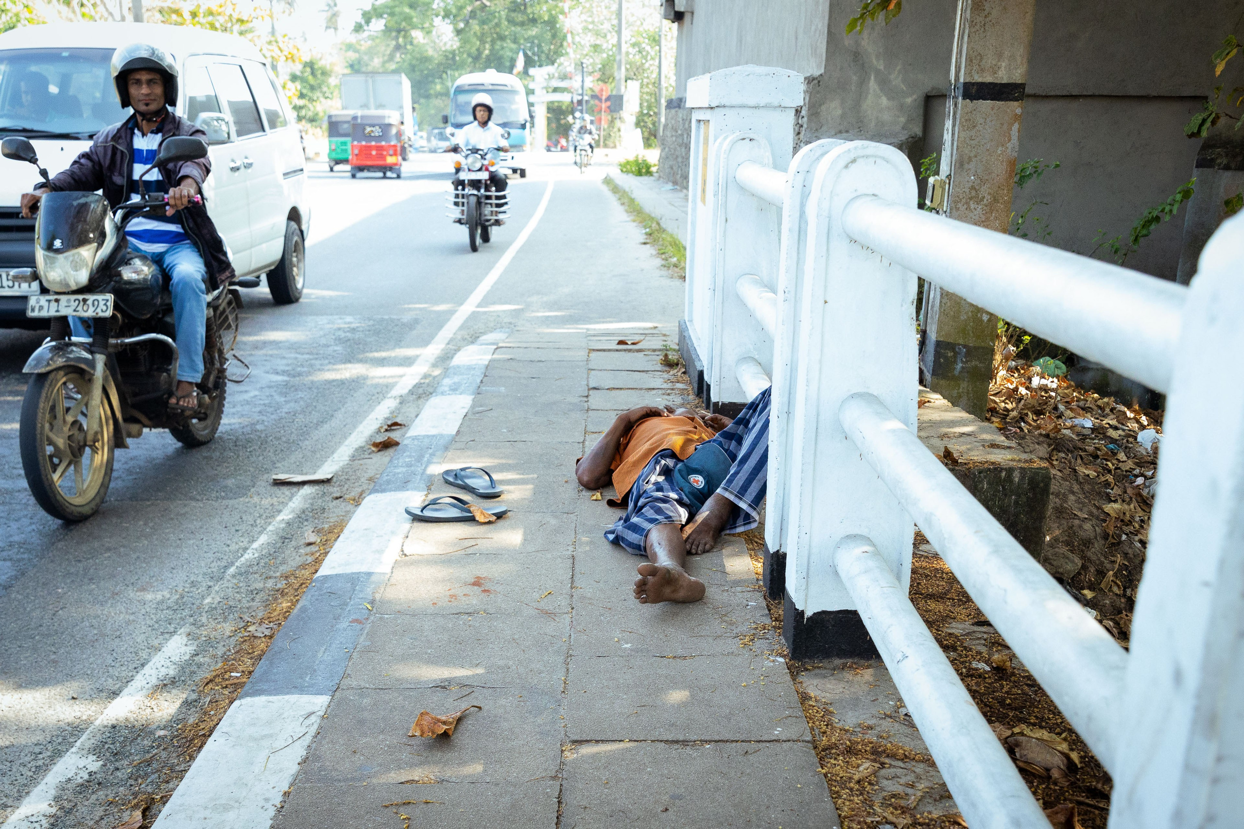 Шри-Ланка (весна 2024). Фотограф Виноградов Константин