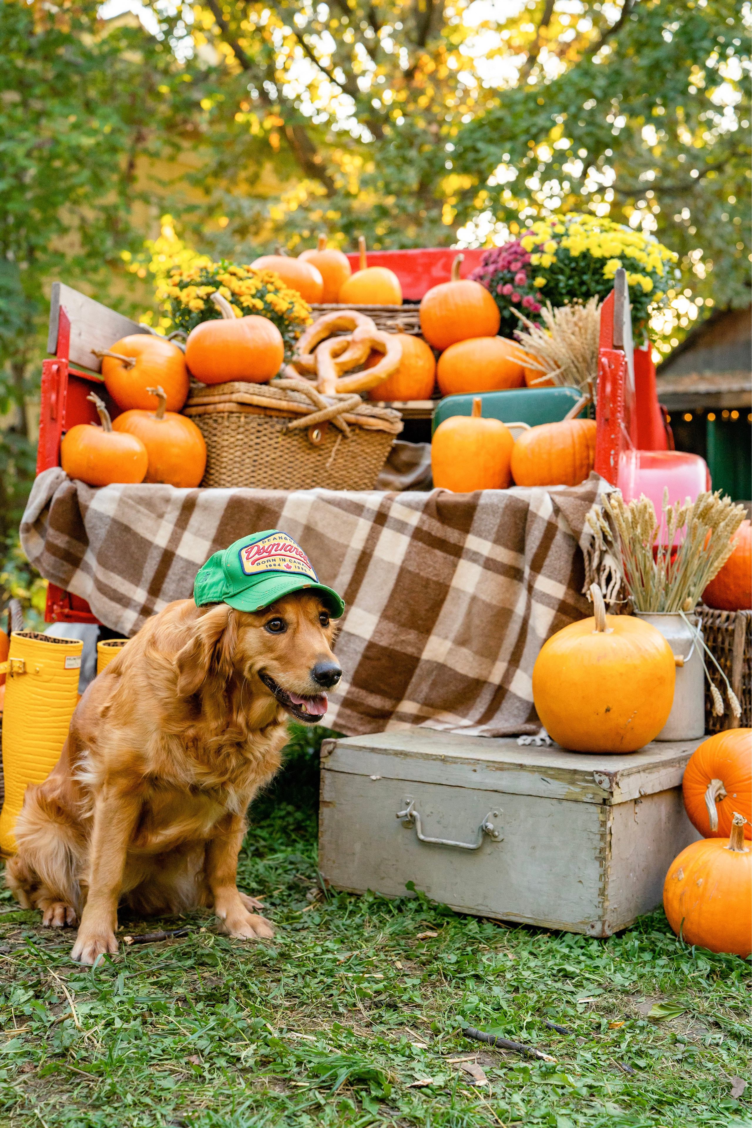 Осенняя Love Story. Ваш фотограф Tetiana Kolos, найду самый удачный ракурс и словлю момент