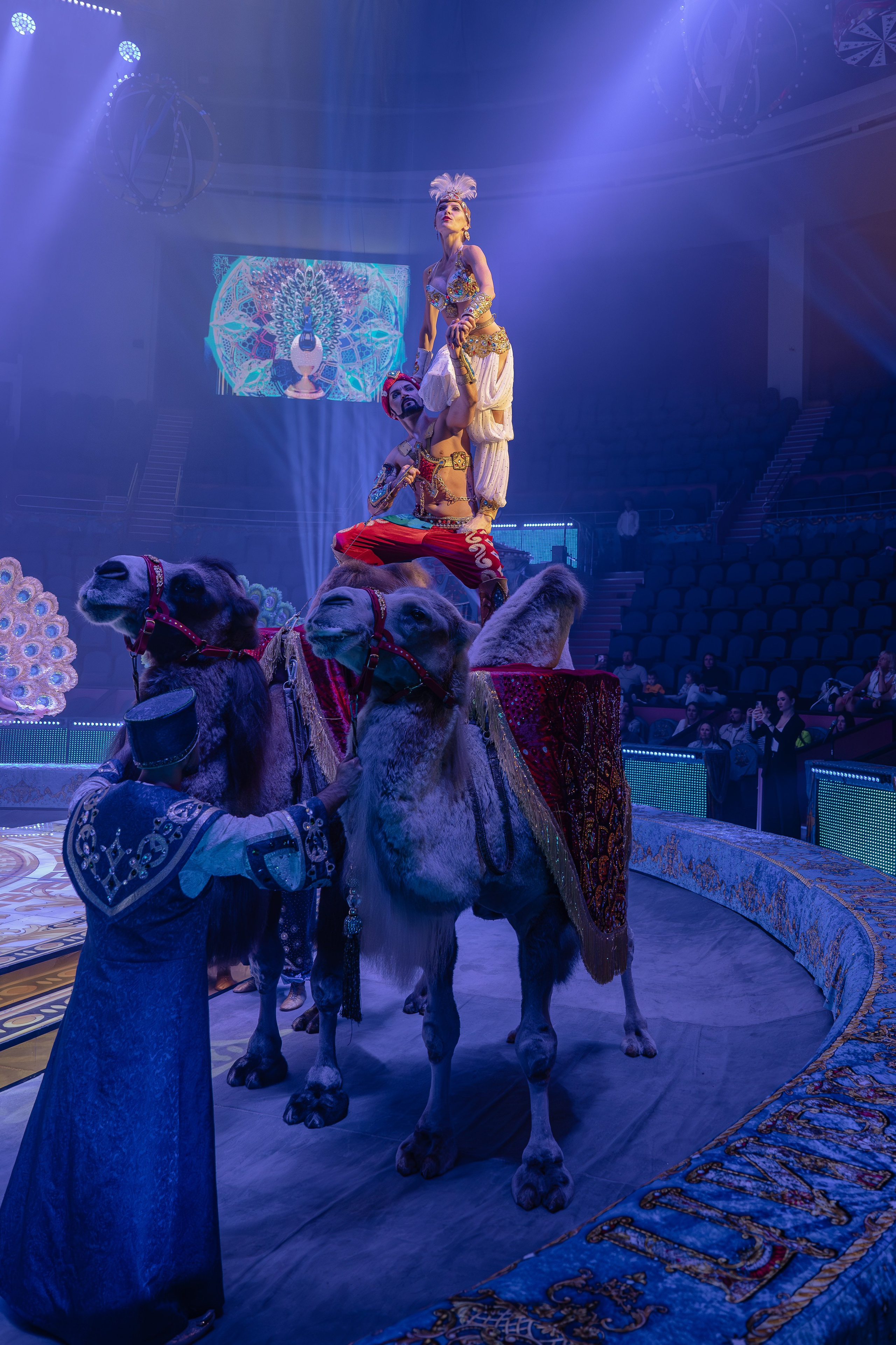 Цирк Гии Эрадзе. Наталья Слесаренко фотограф в Сочи