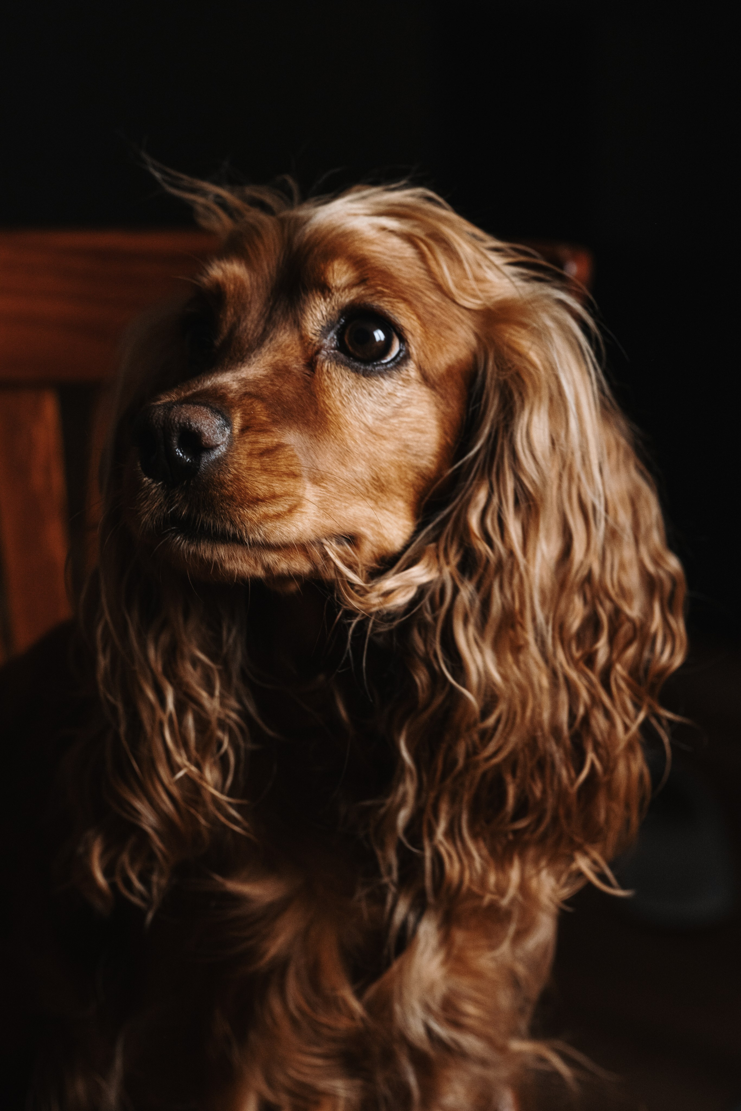 Animal Friendly. Фотограф на Юге России